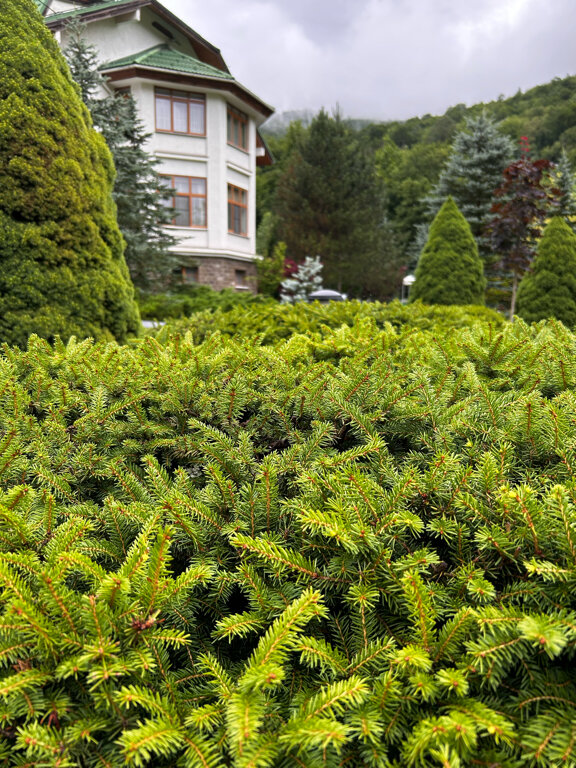 Фото Вилла Гранд Поляна