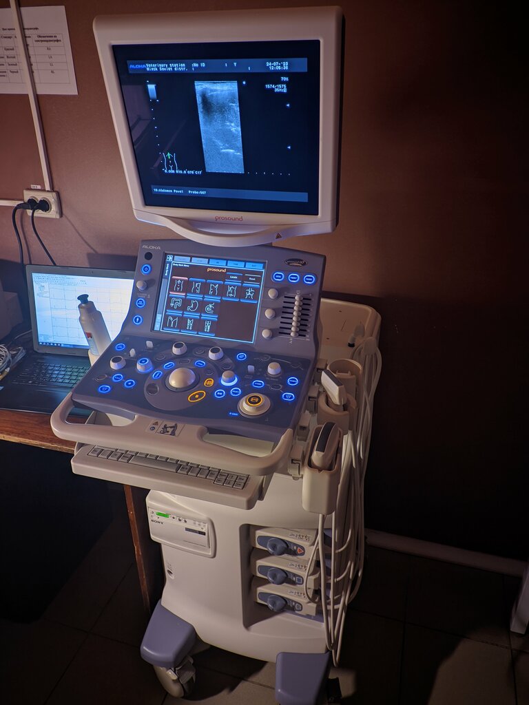 Veterinary clinic Veterinary station of the Saviecki city district of Minsk, Minsk, photo