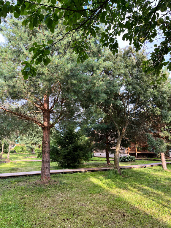 Фото Рыболовная база Ершиха