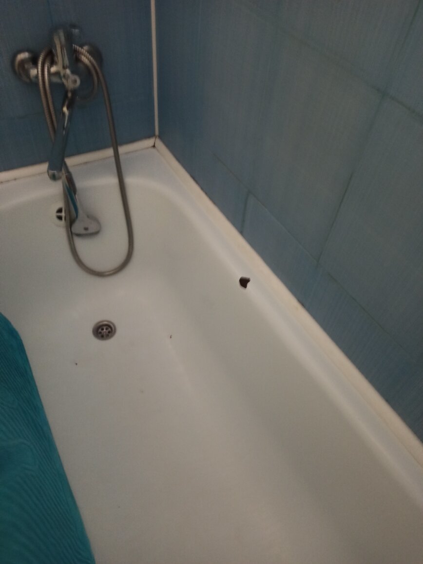 Фото Диоскурия