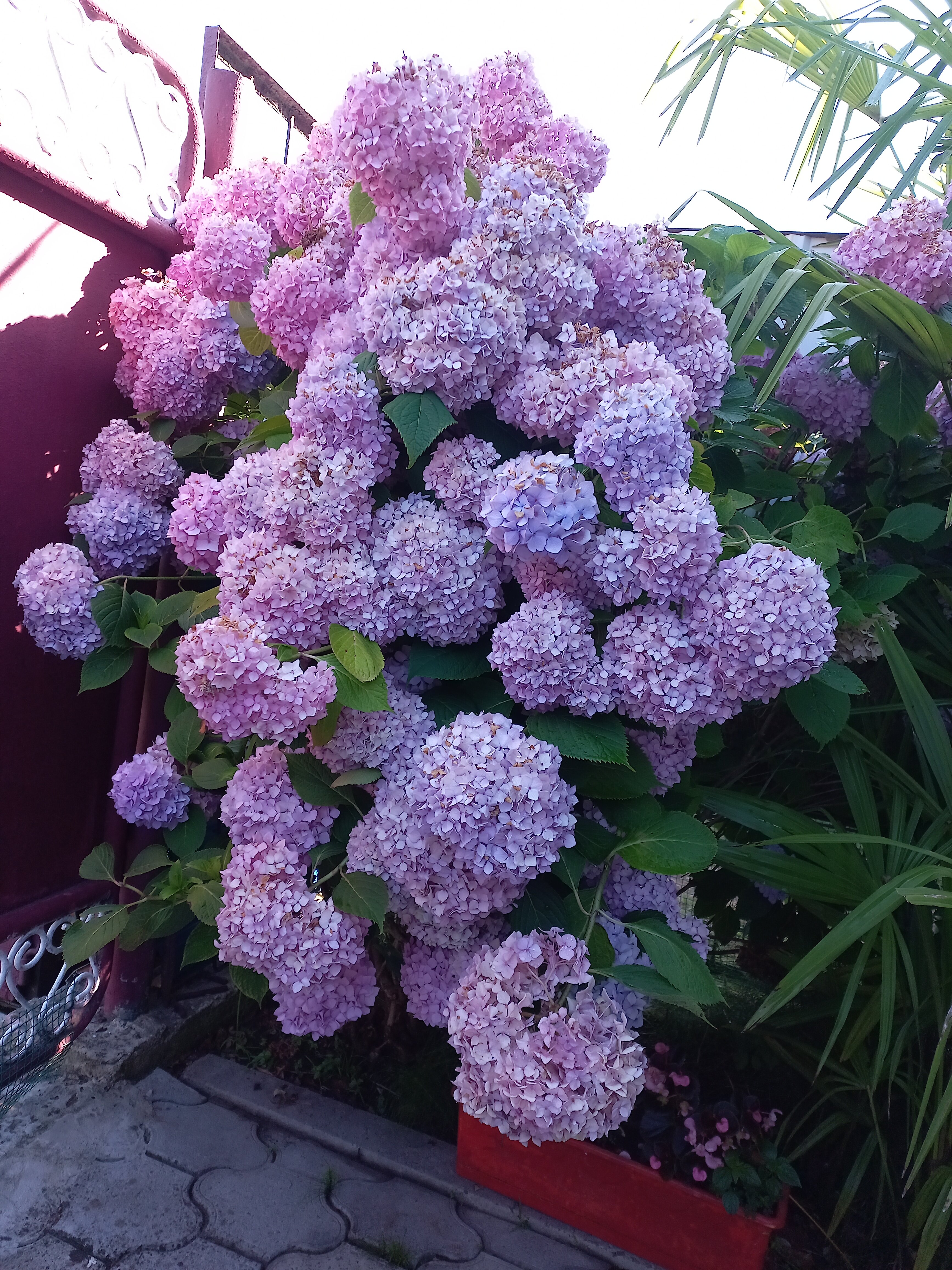 Фото Особенный