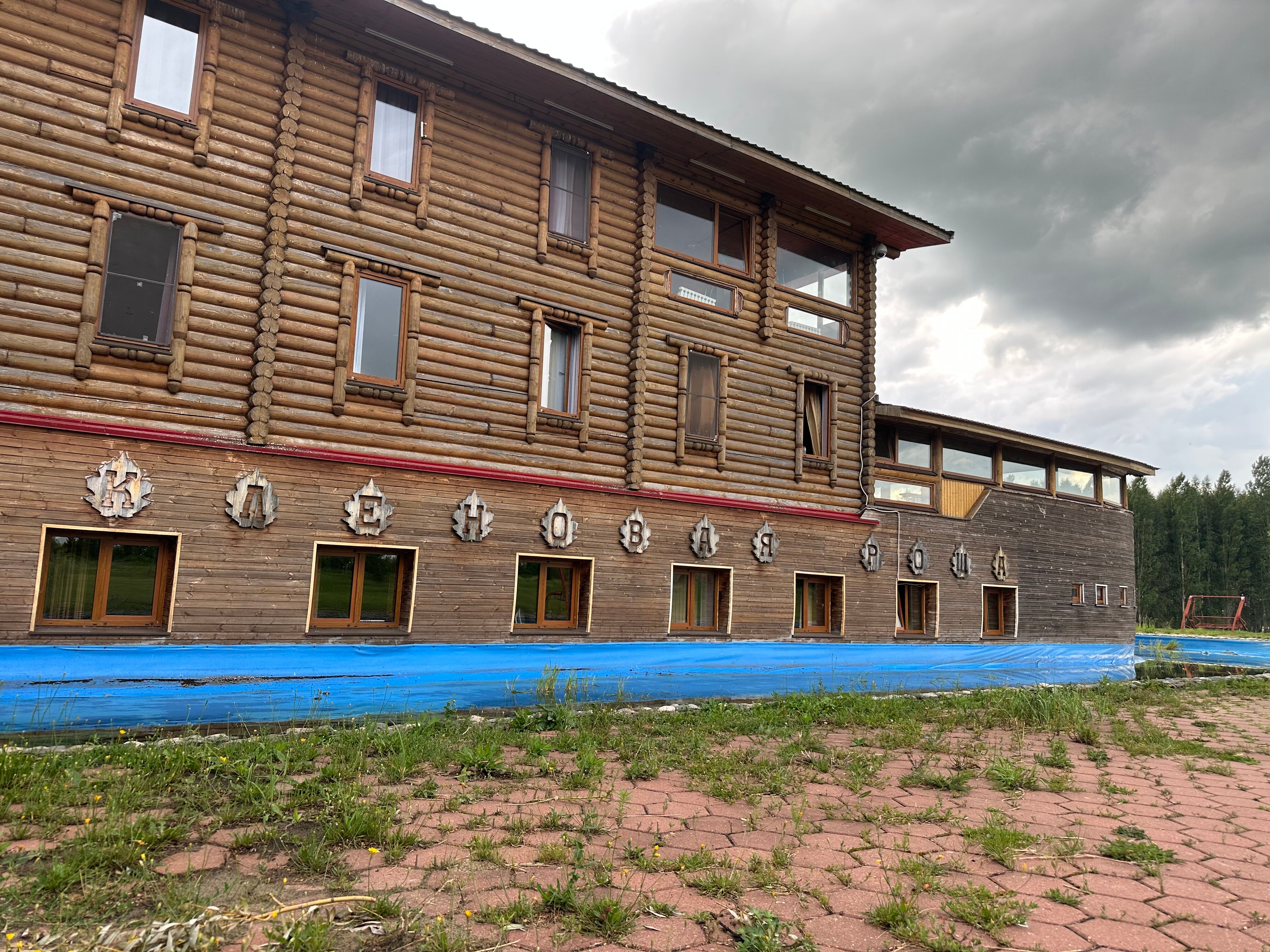 Фото Кленовая роща