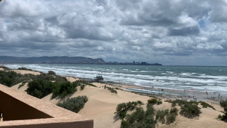 Фото Alfa Summer