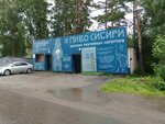 Пиво Сибири (Irkutskiy Tract, 91/1) ، متجر بيع البيرة