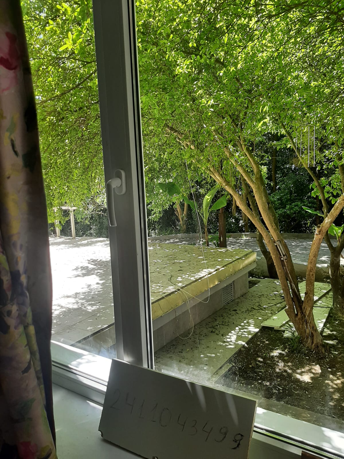 Фото Домашний