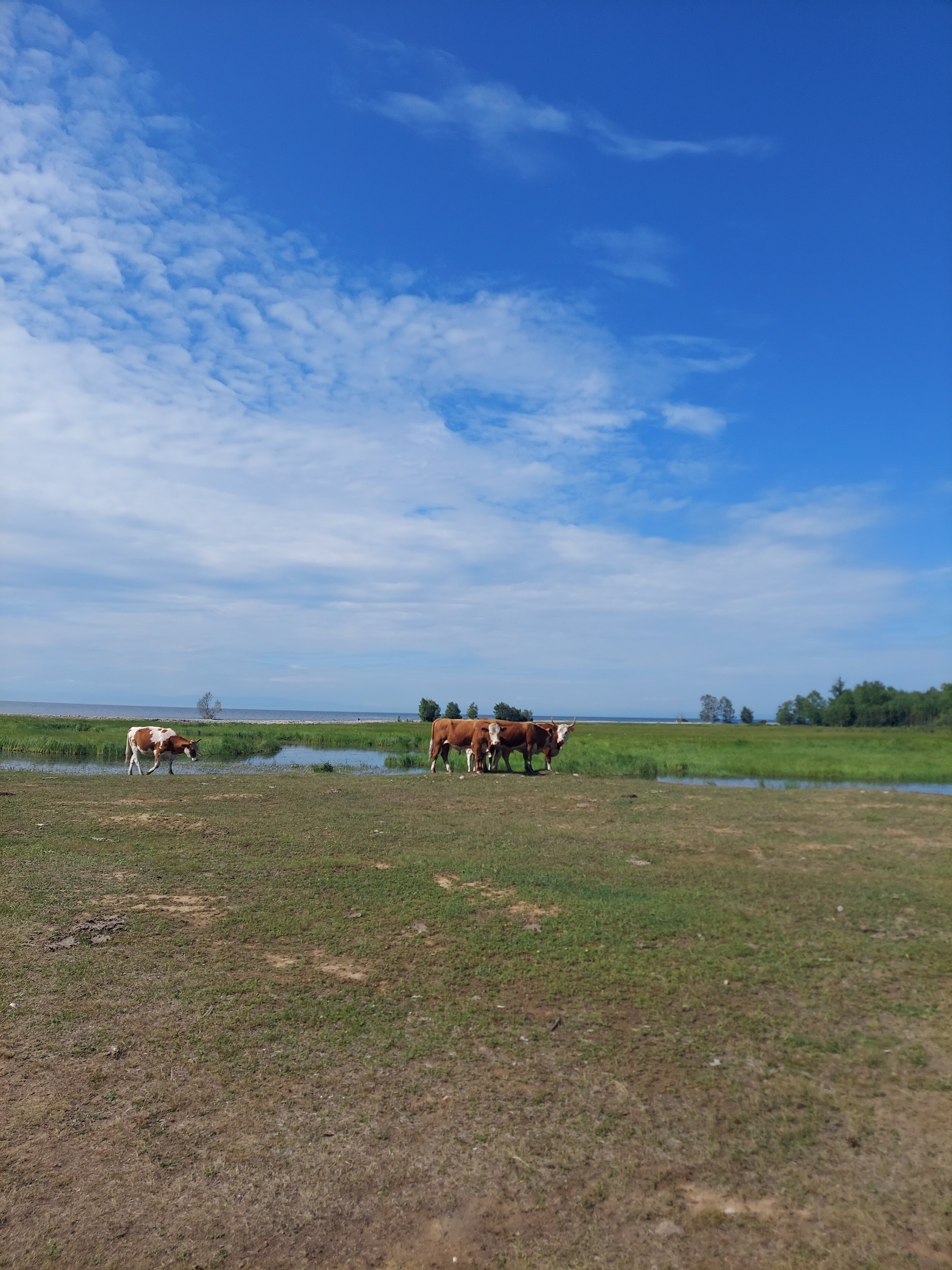 Фото Парк Сагаан Морин