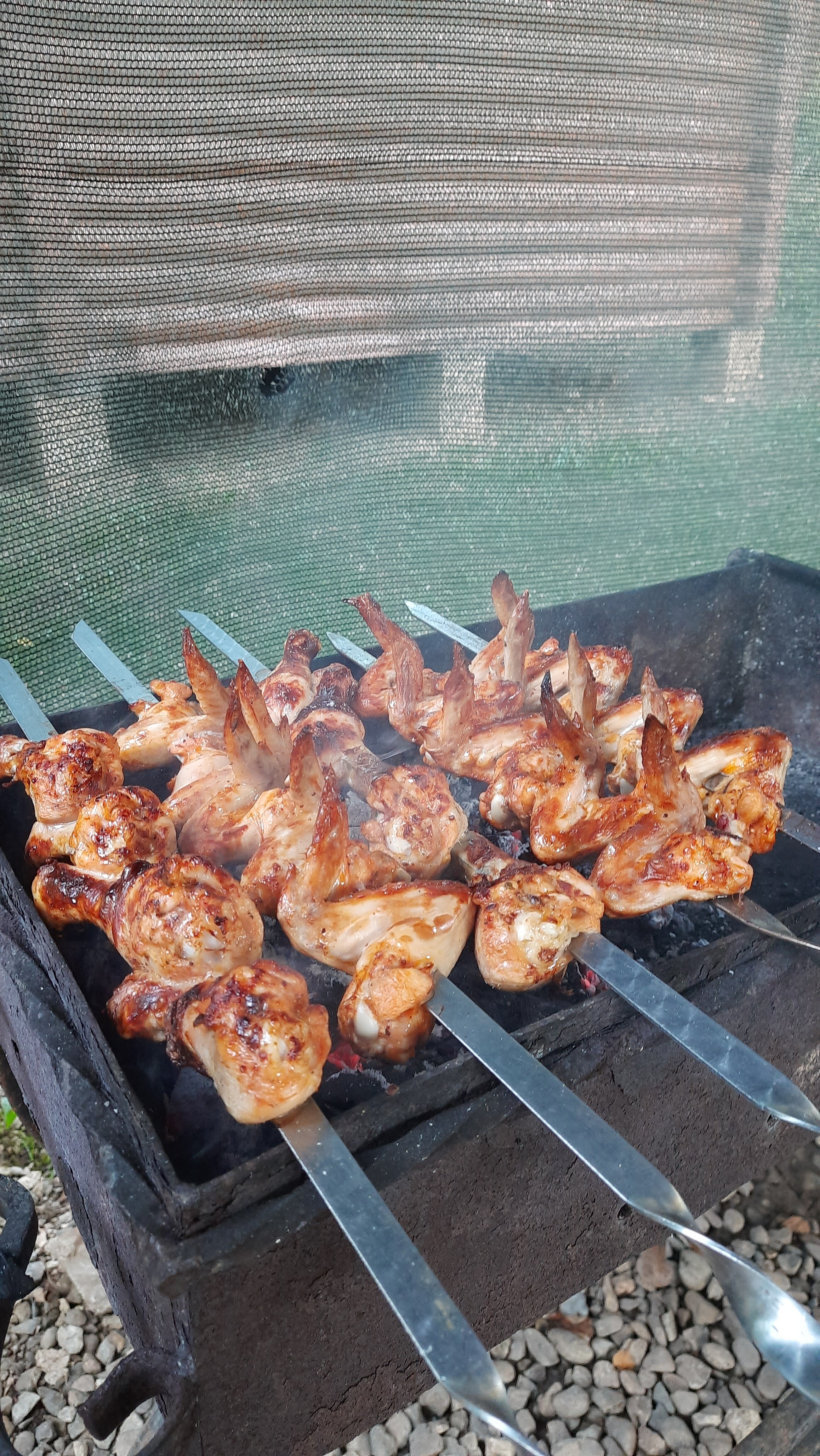 Фото Лесной