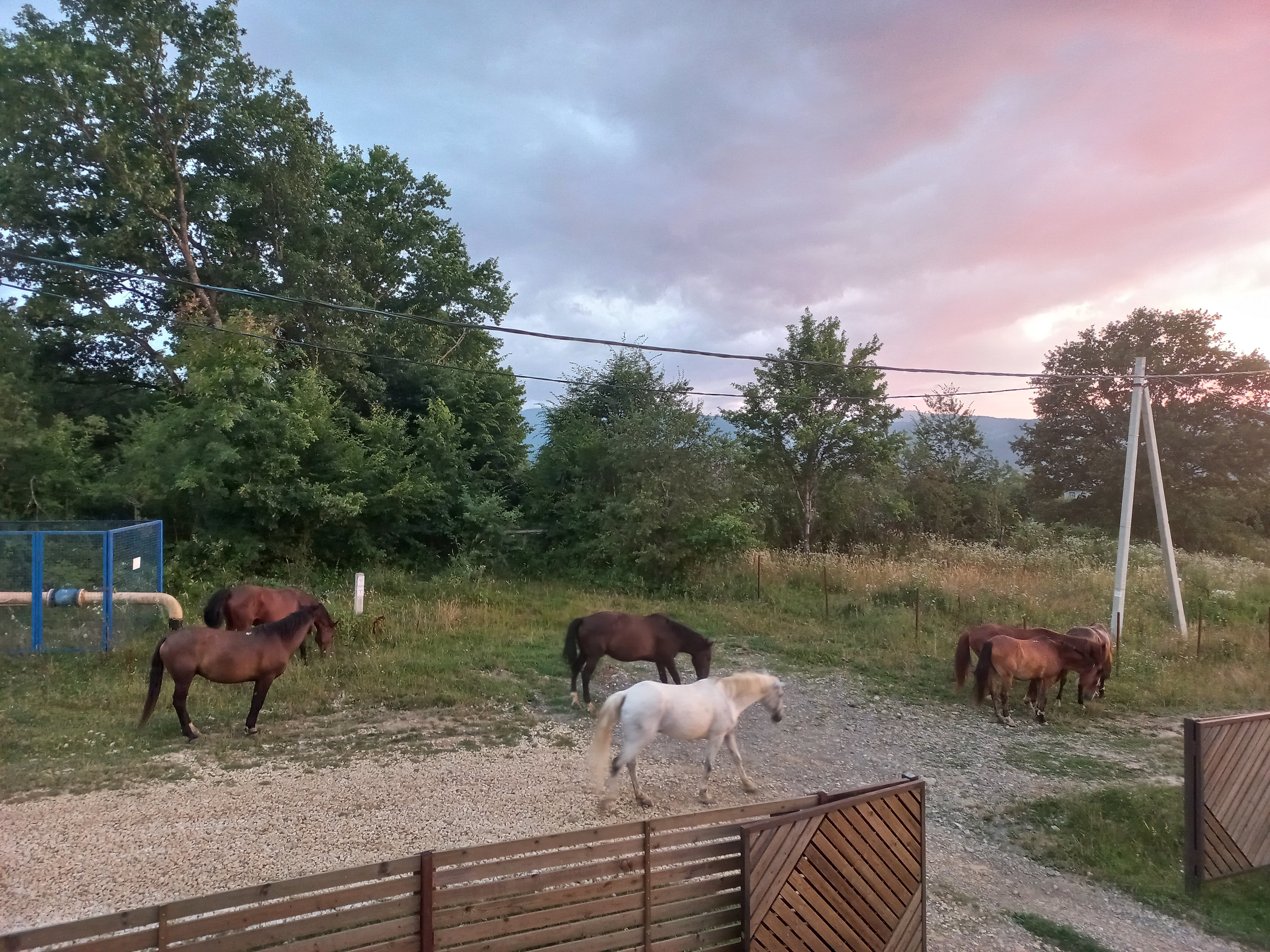 Фото Вершина