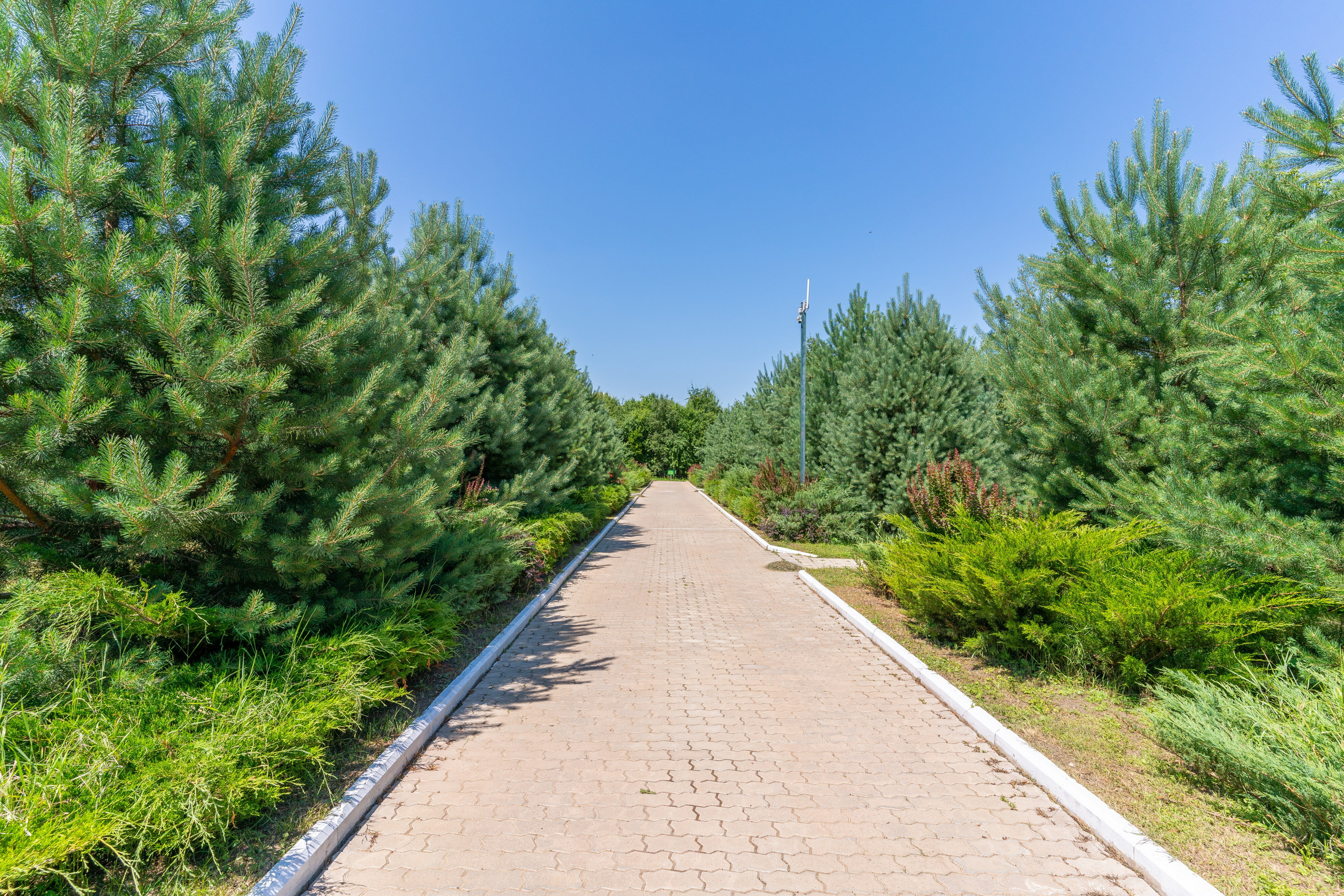 Фото Зеленые холмы