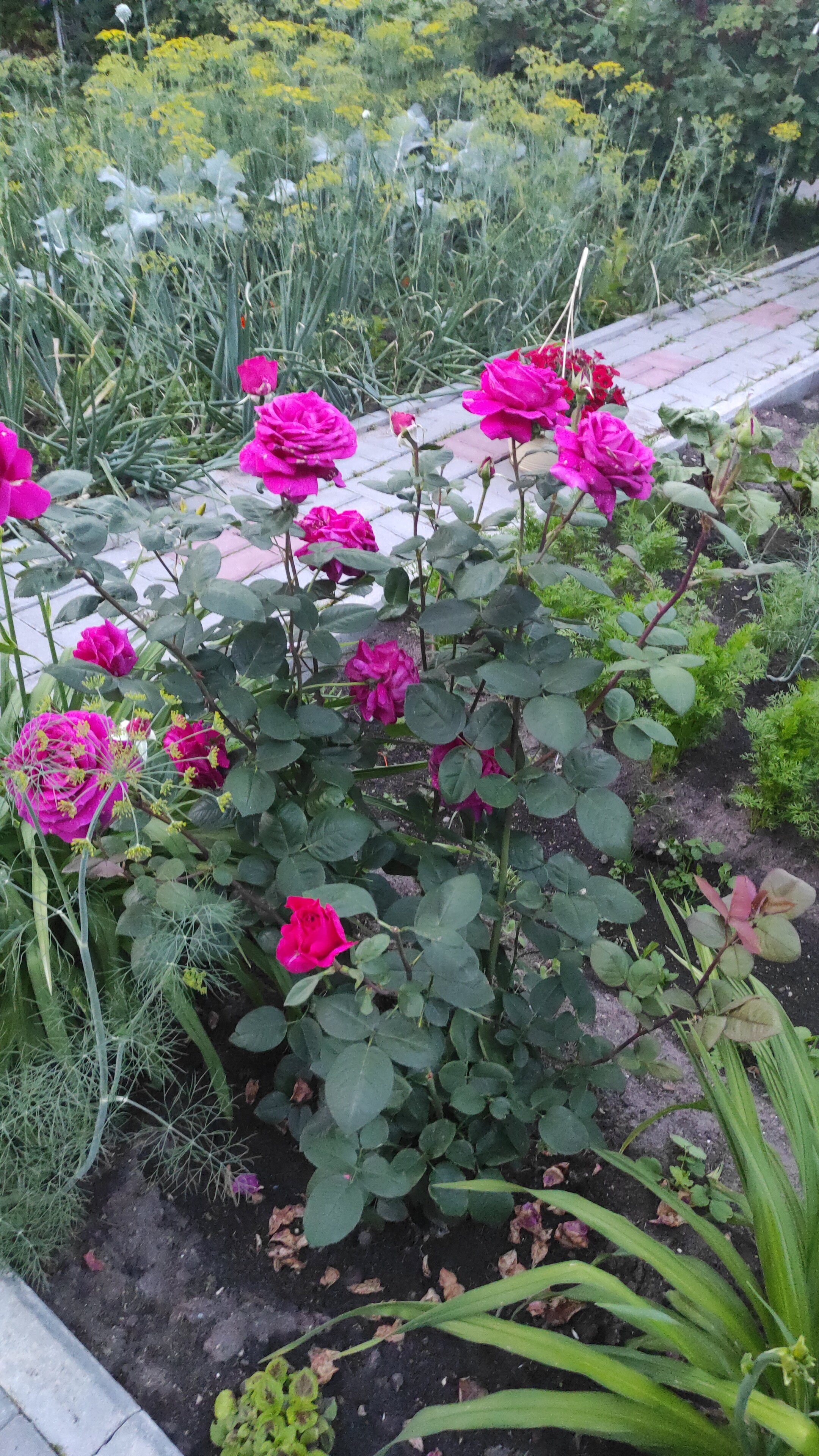 Фото Апартаменты на Малышевской 109