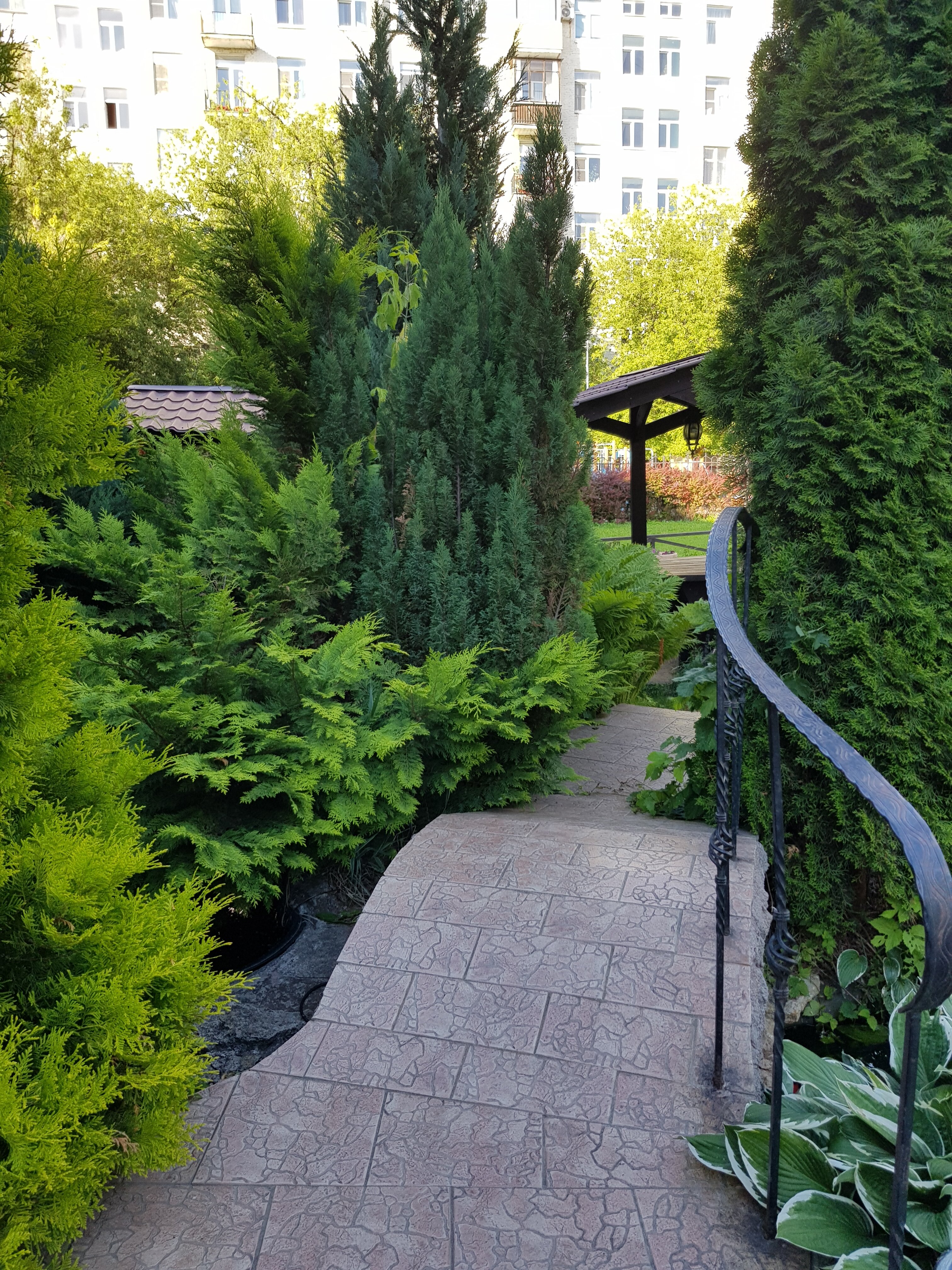 Фото Елизар