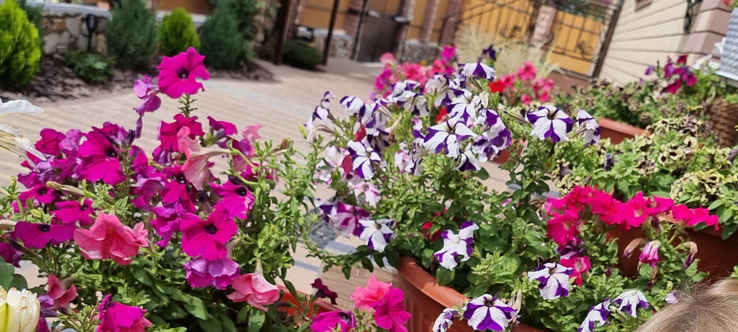 Фото Усадьба