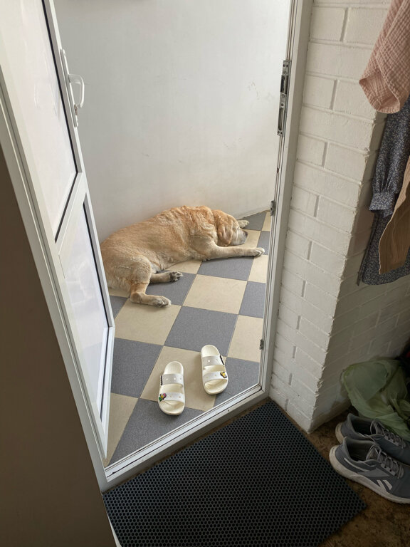 Фото Мохито