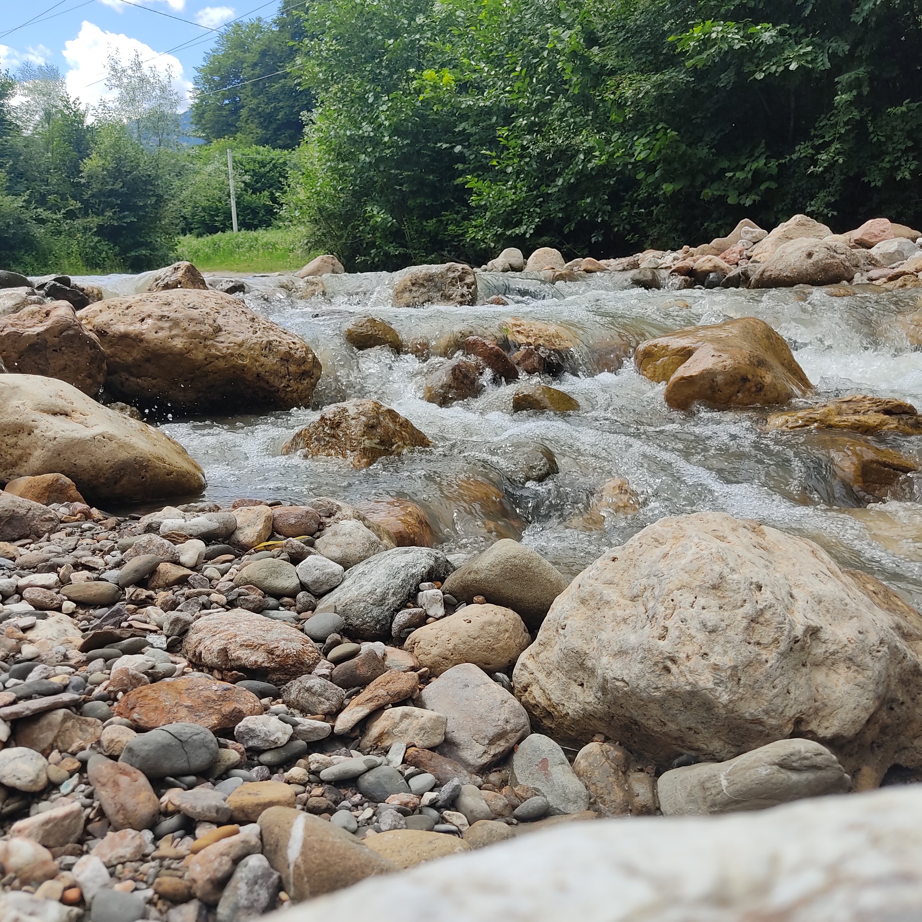 Фото Грин Хаус