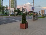 Pinskaja (Minsk, Kalvaryjskaja Street), public transport stop