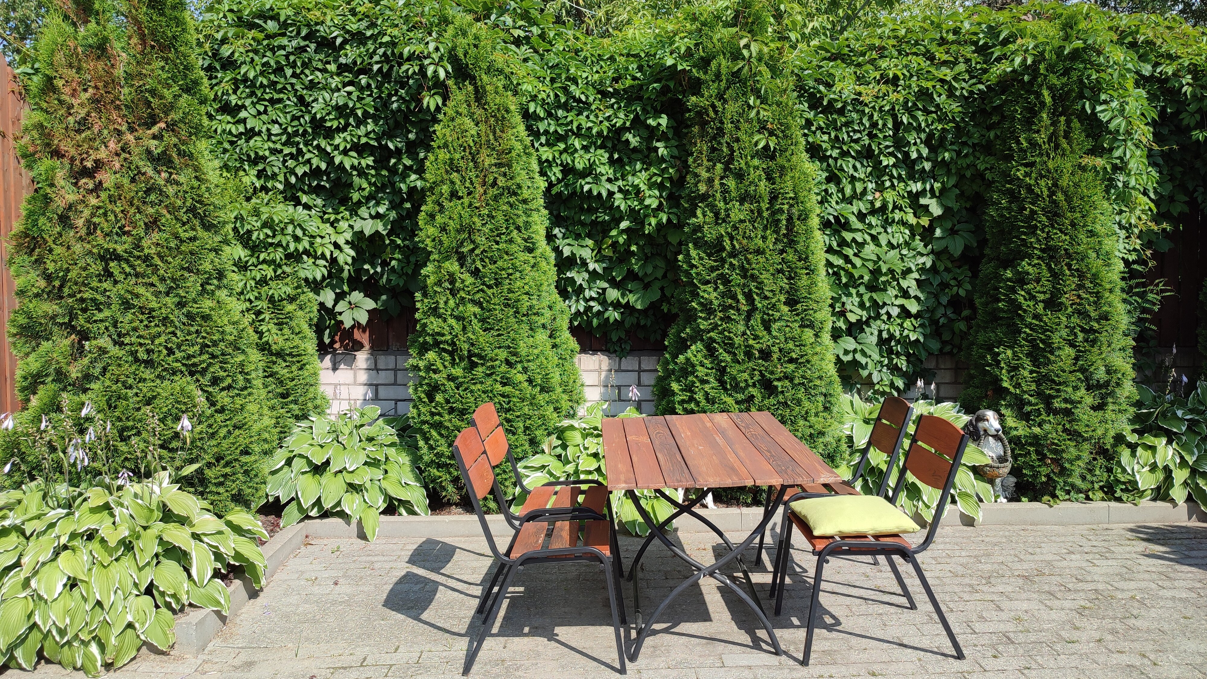 Фото Два крыла