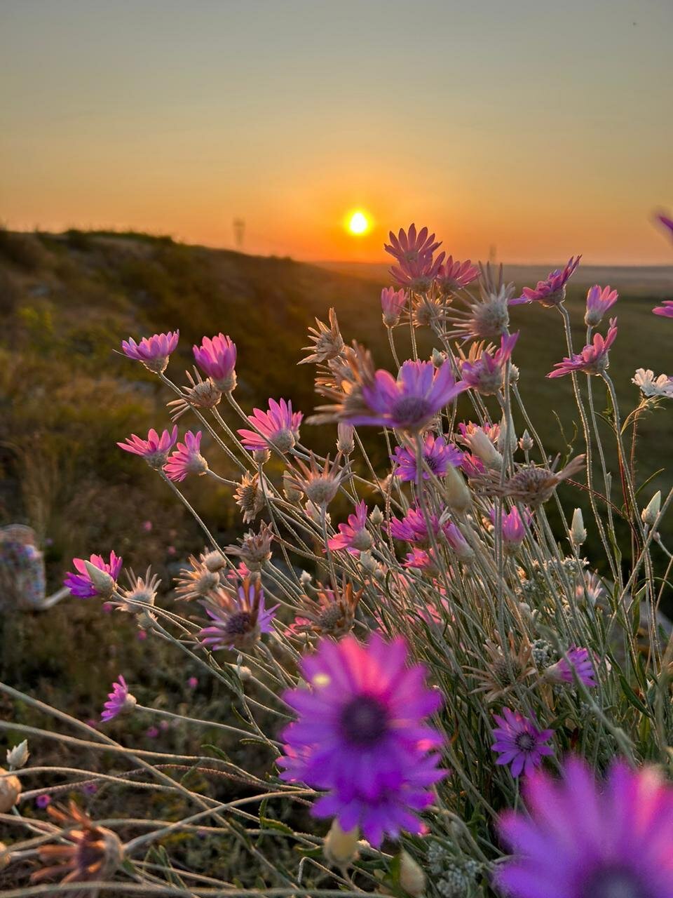 Фото СтепнаяЗдравница