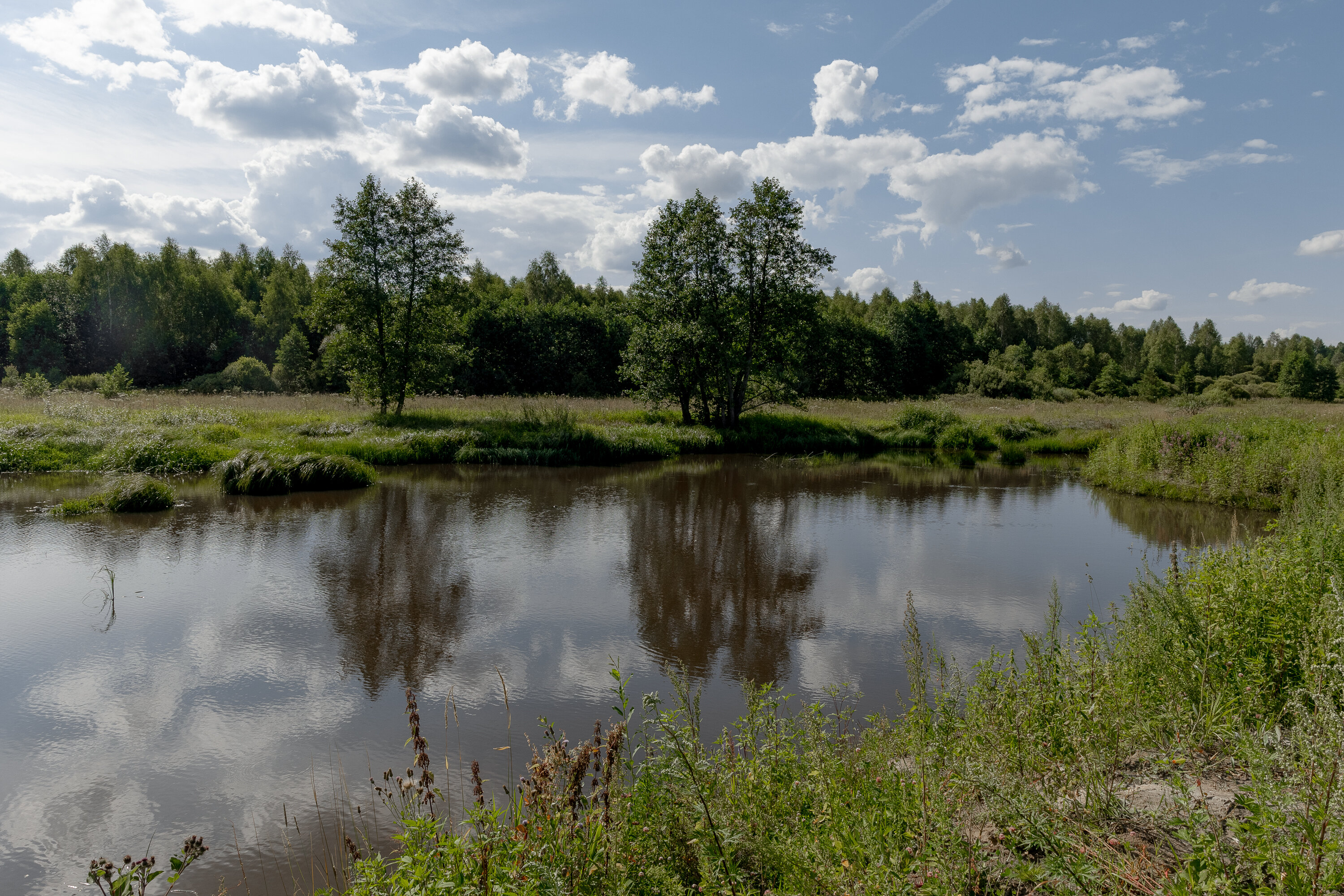 Фото Эко-отель Мордасово
