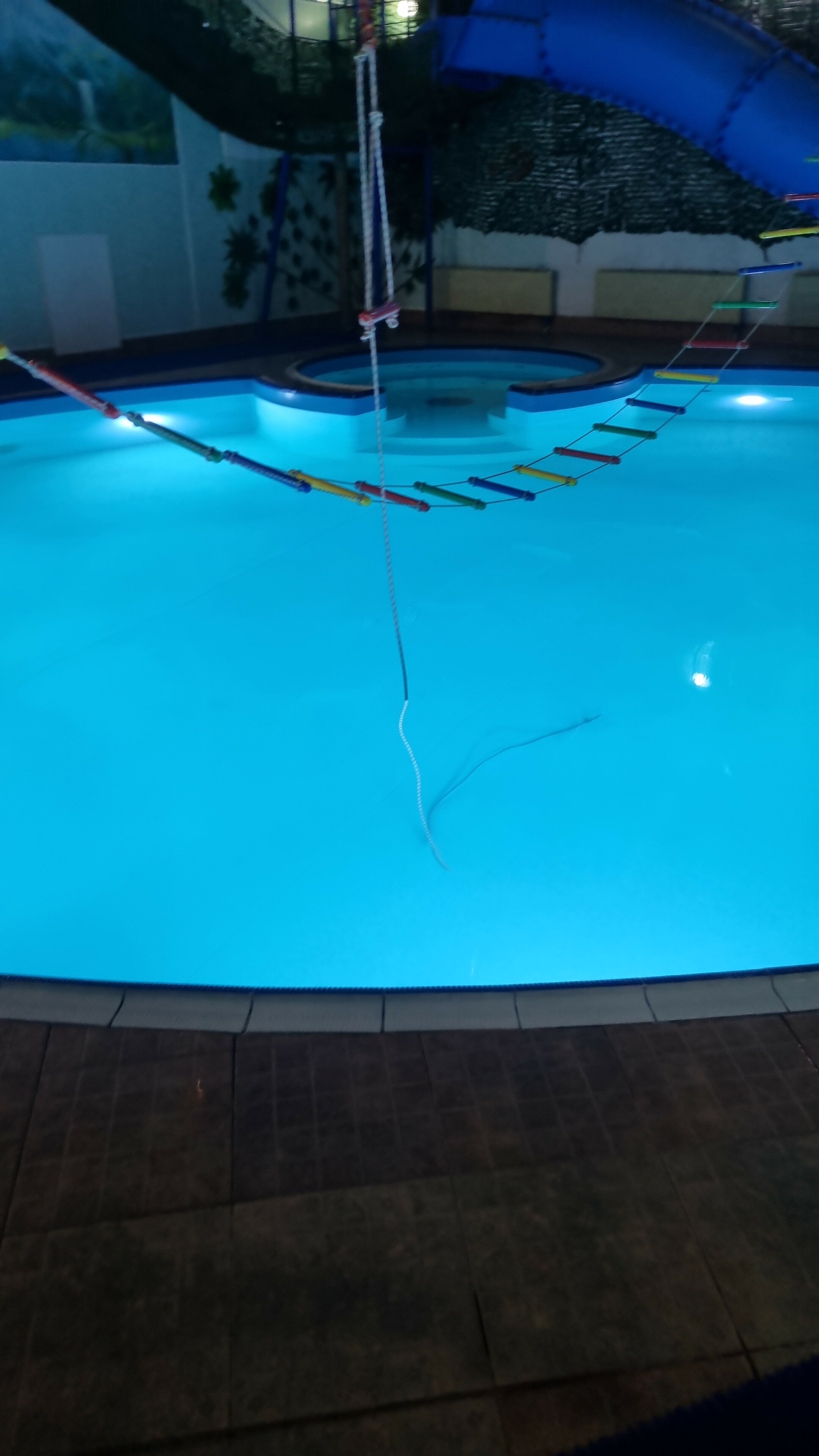 Фото Наутилус