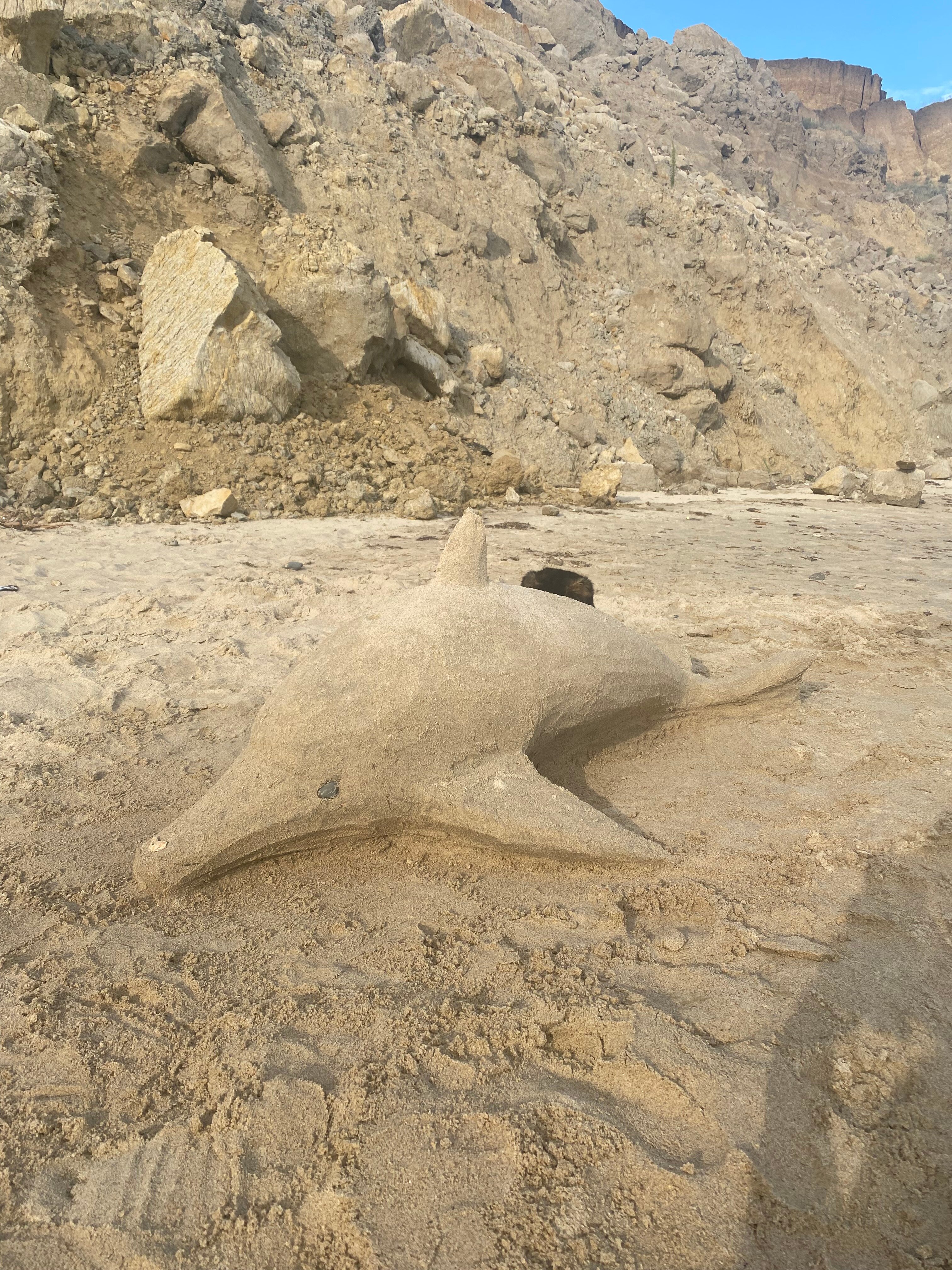 Фото На Волне