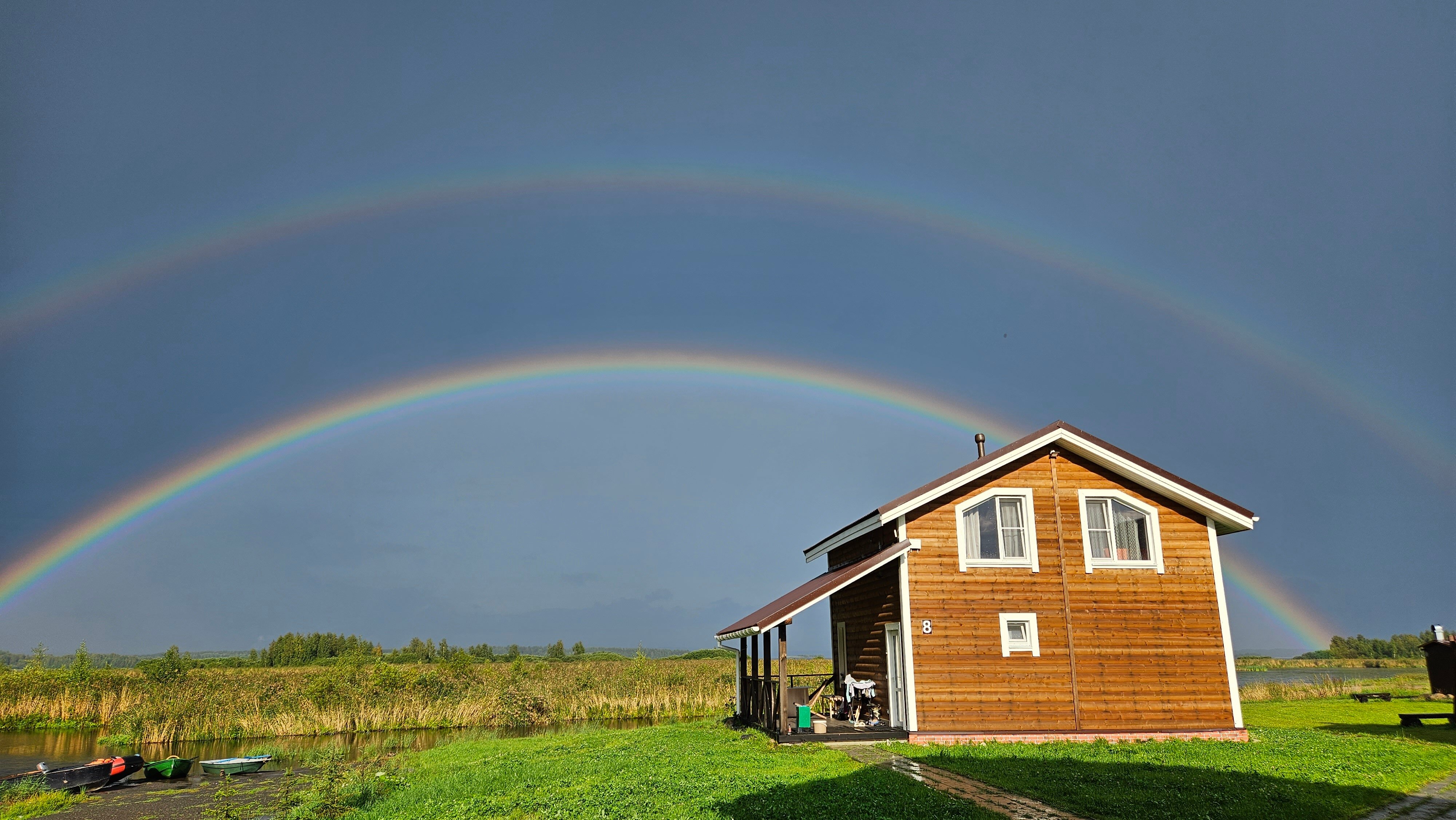 Фото Хитрый Лис