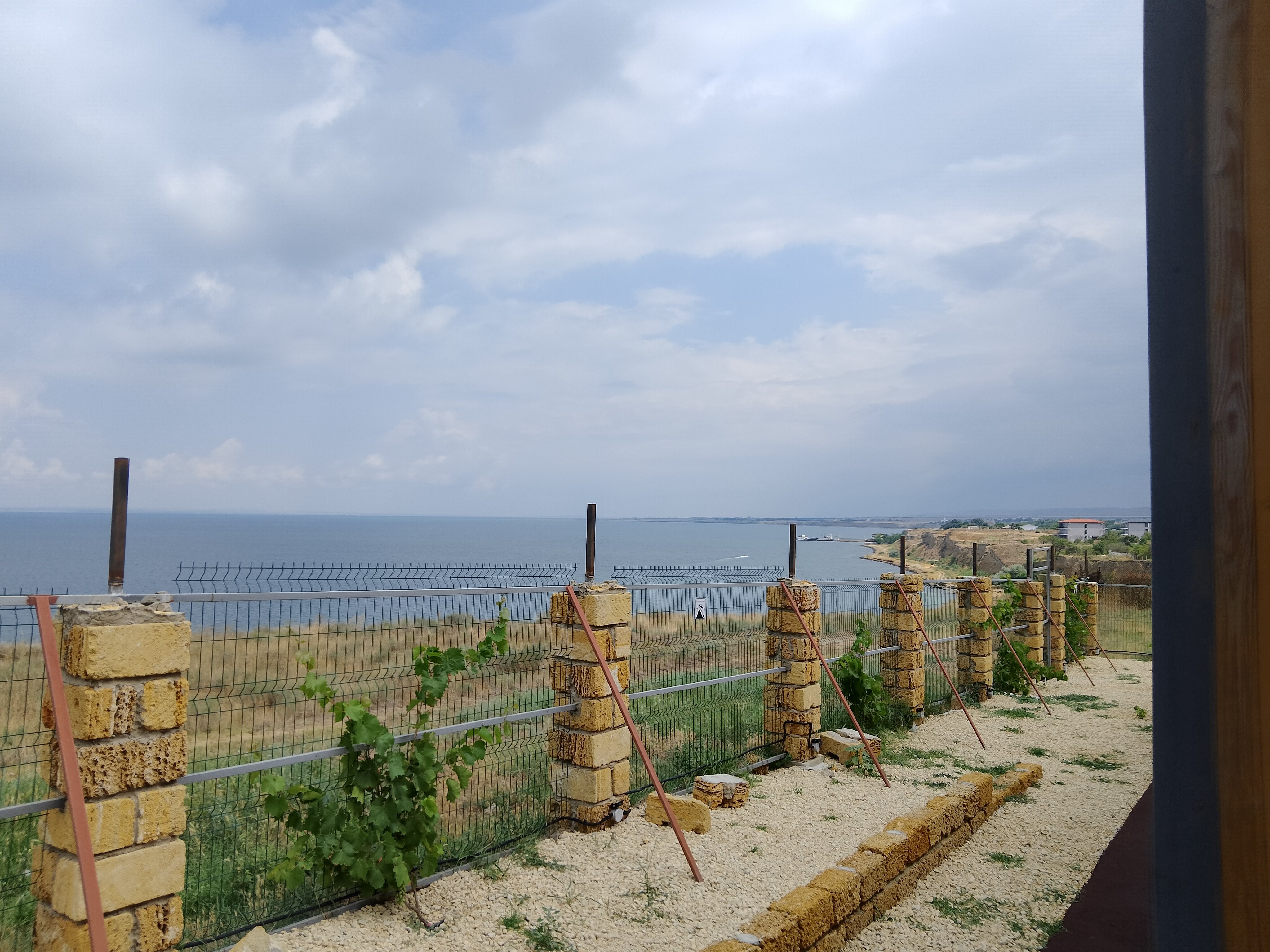 Фото Лемонад