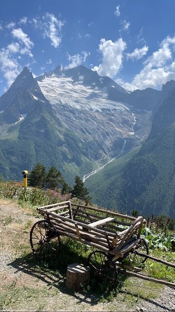Фото Альпийский