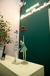 Студия Евгении Роштовой (Vinokurova Street, 46), spa