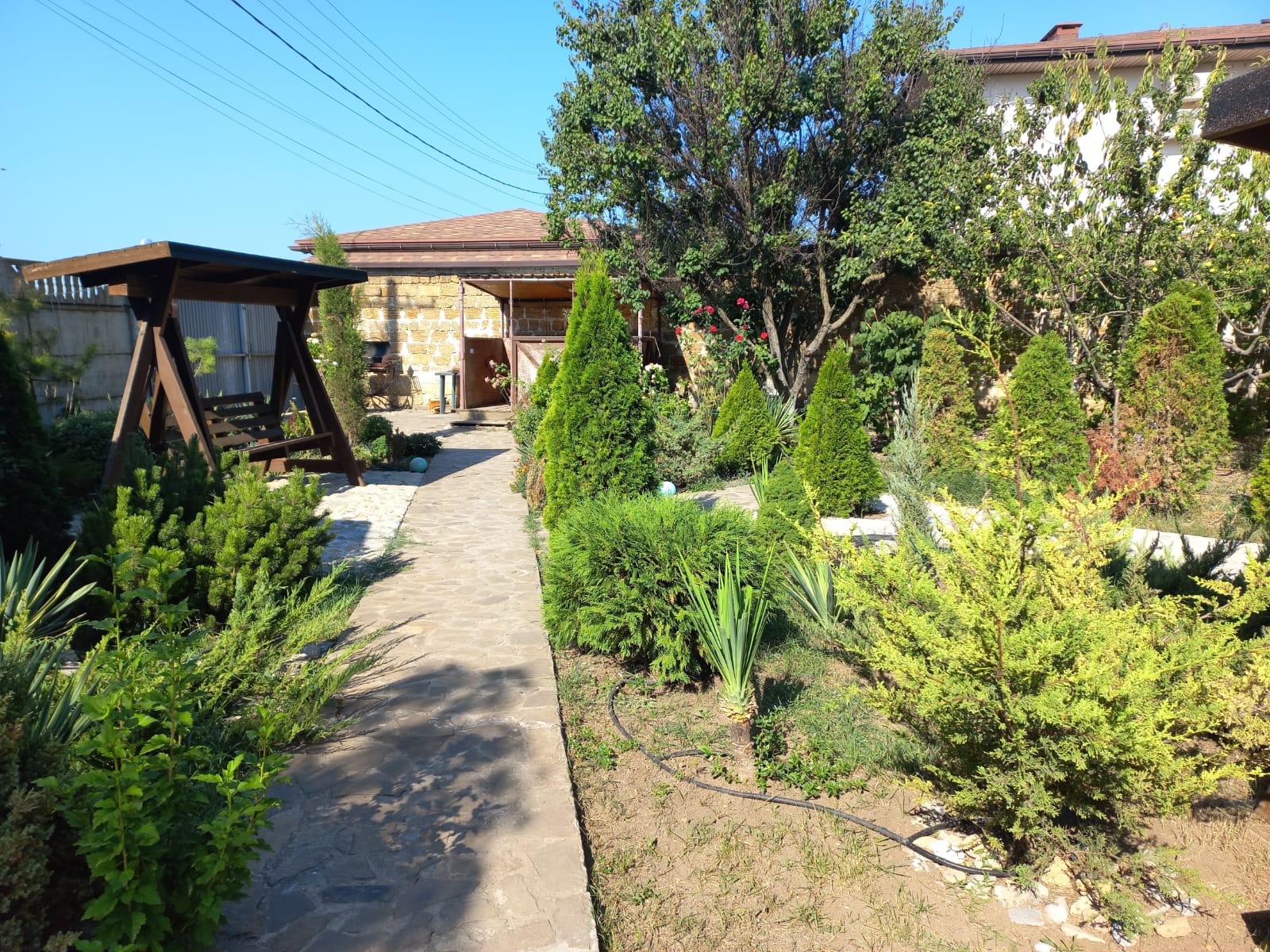 Фото Адмирал