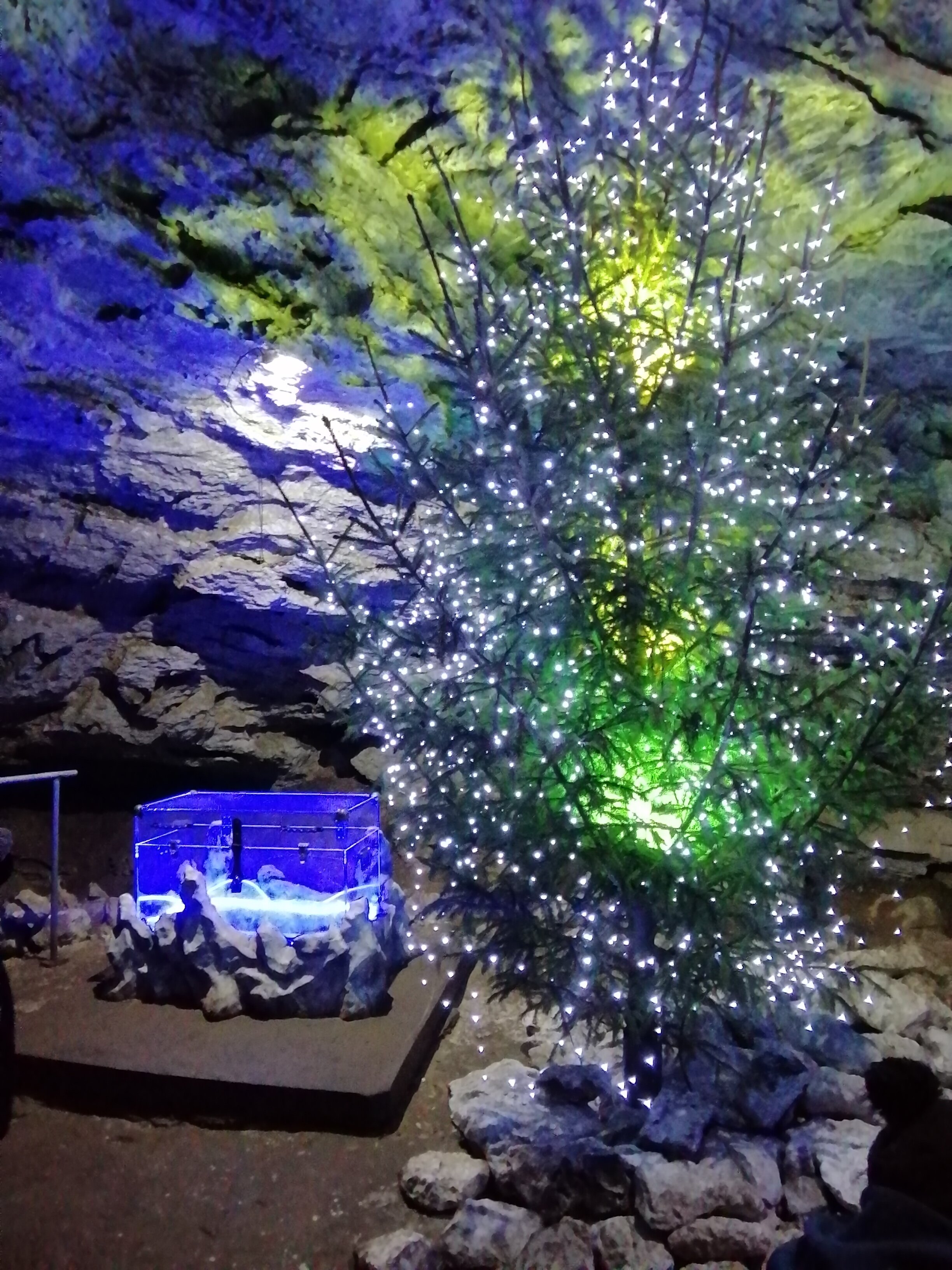 Фото Сталагмит