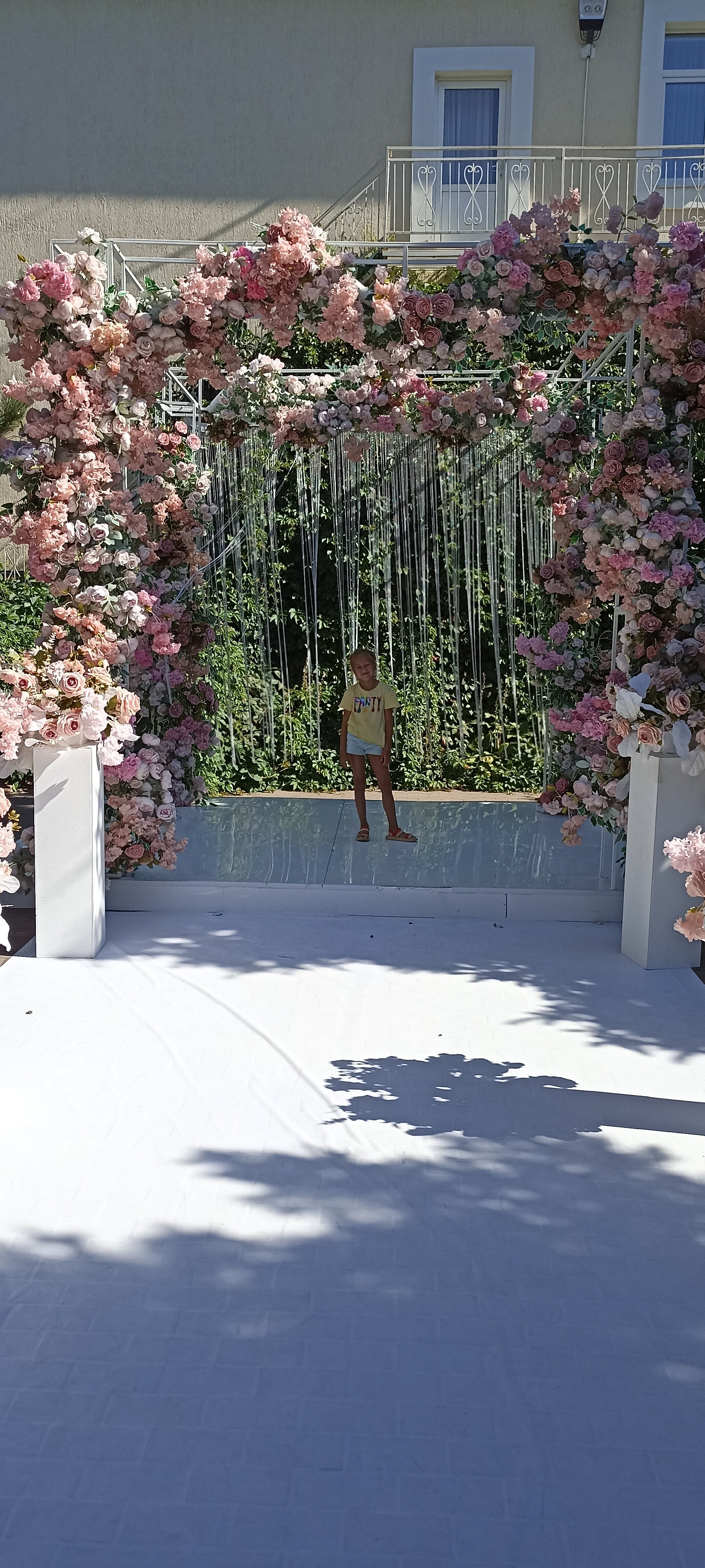 Фото Эдельвейс