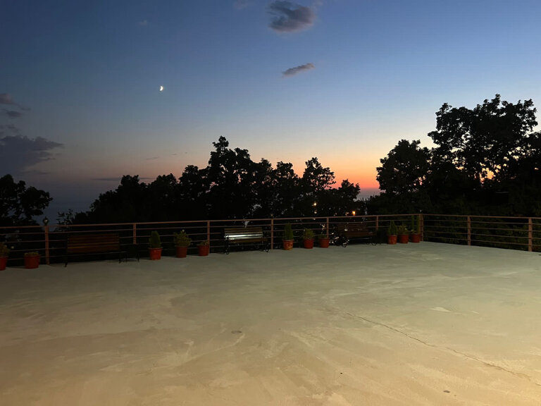 Фото Багира