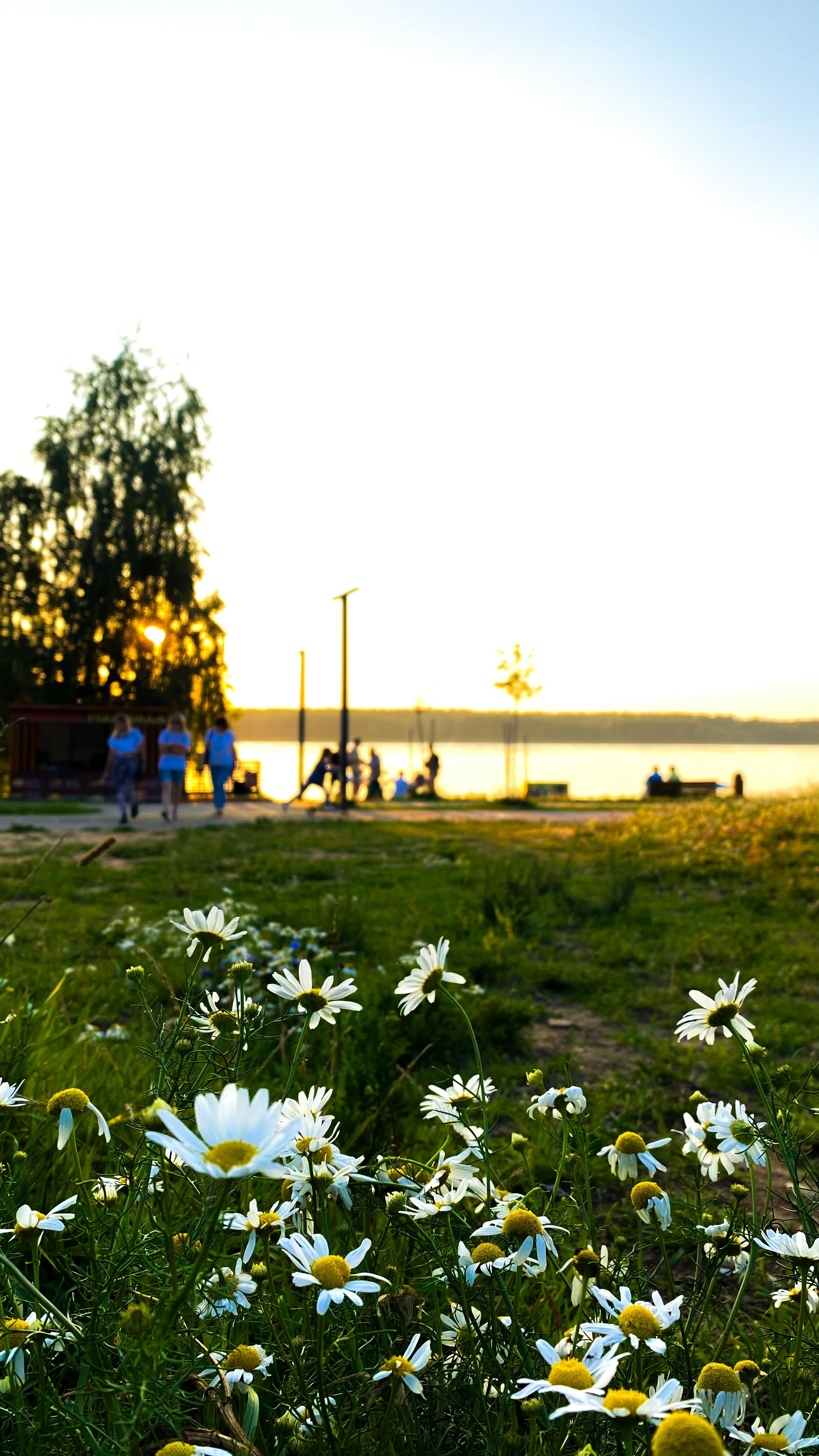 Фото Конаково