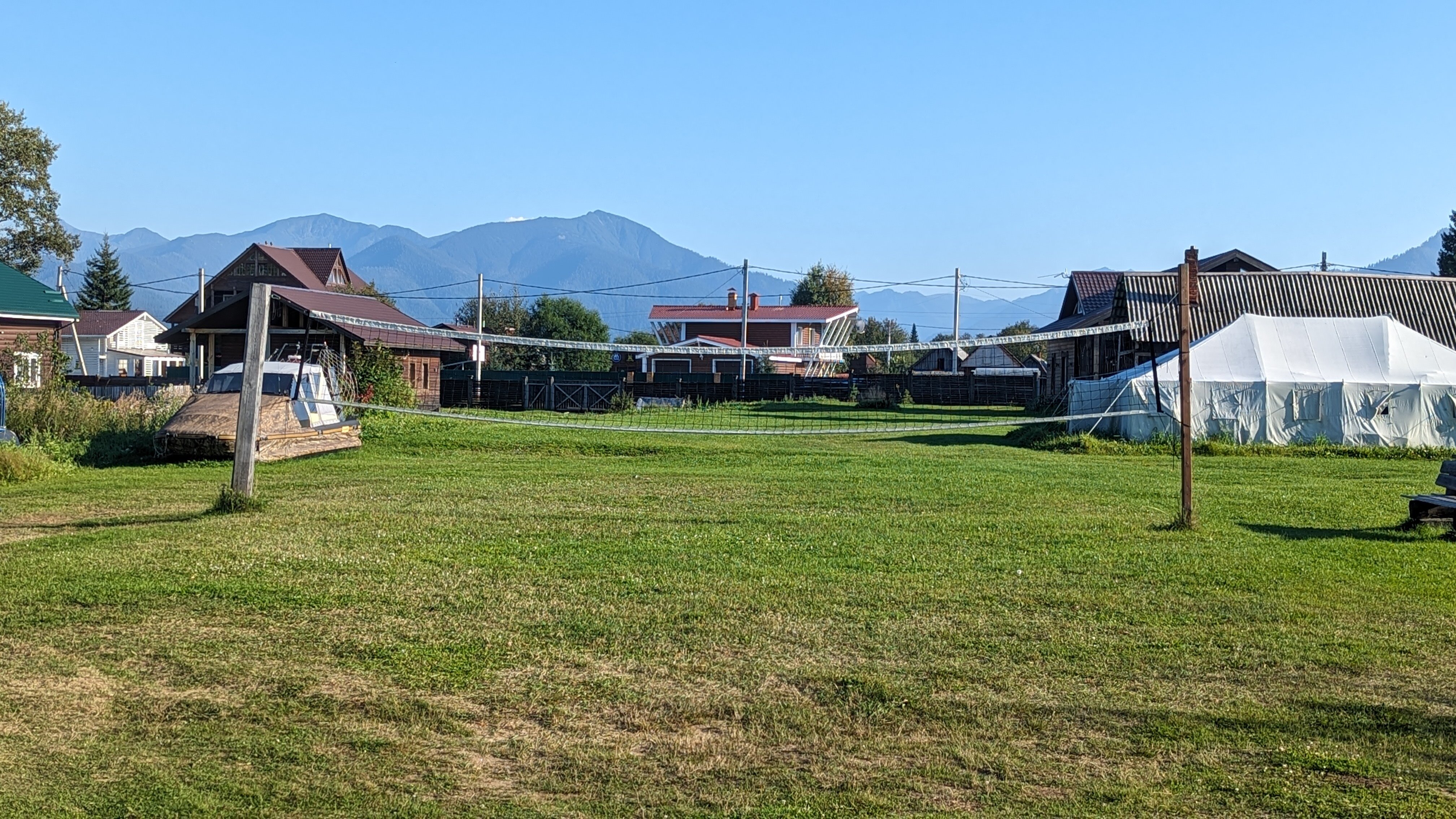 Фото Снежные Гуси