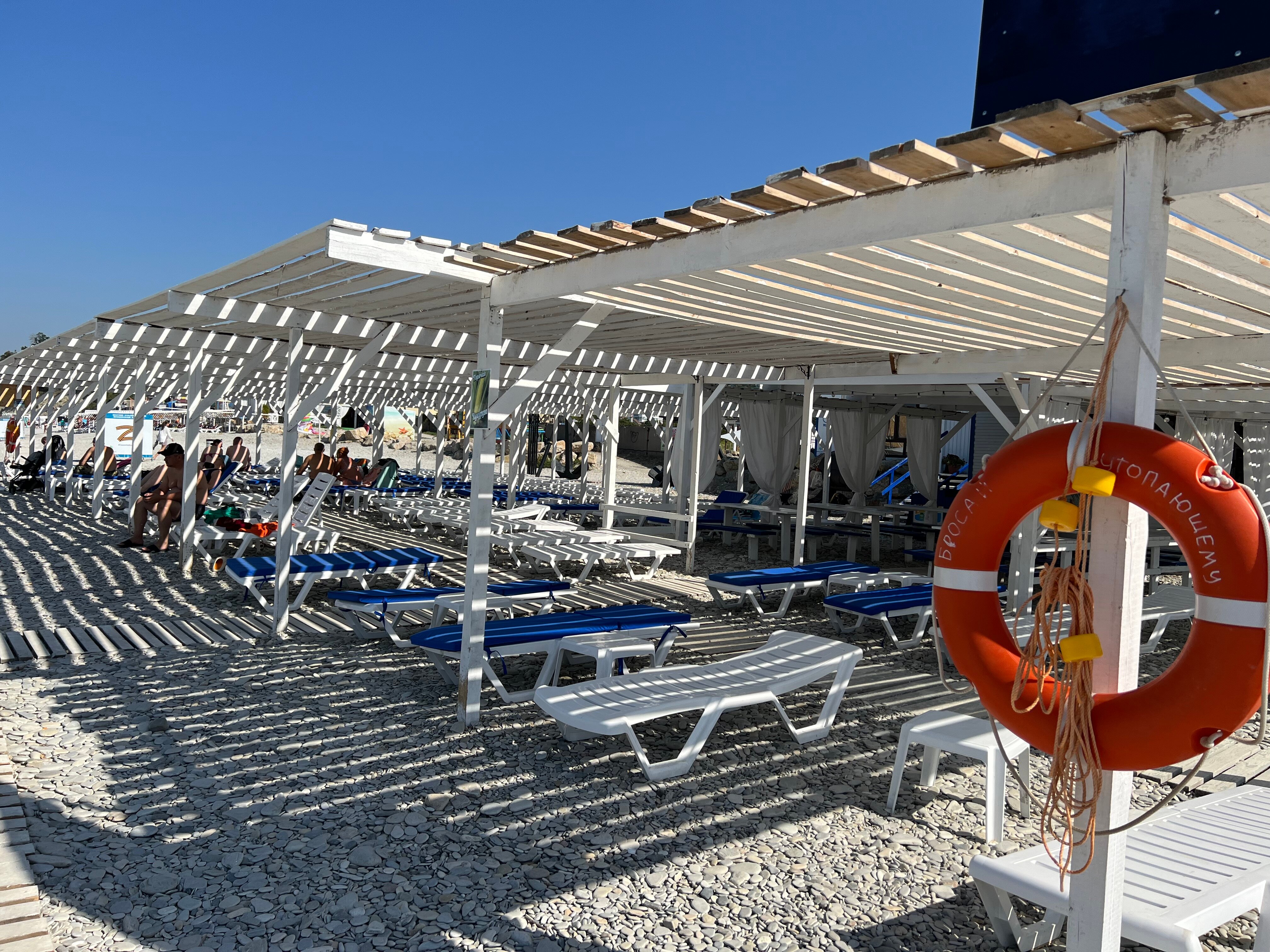 Фото Ежевика