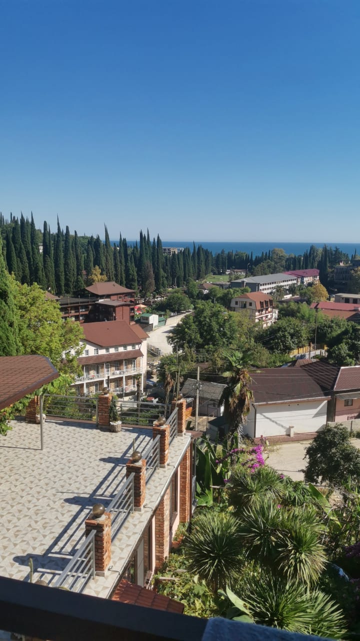 Фото Эль Платано