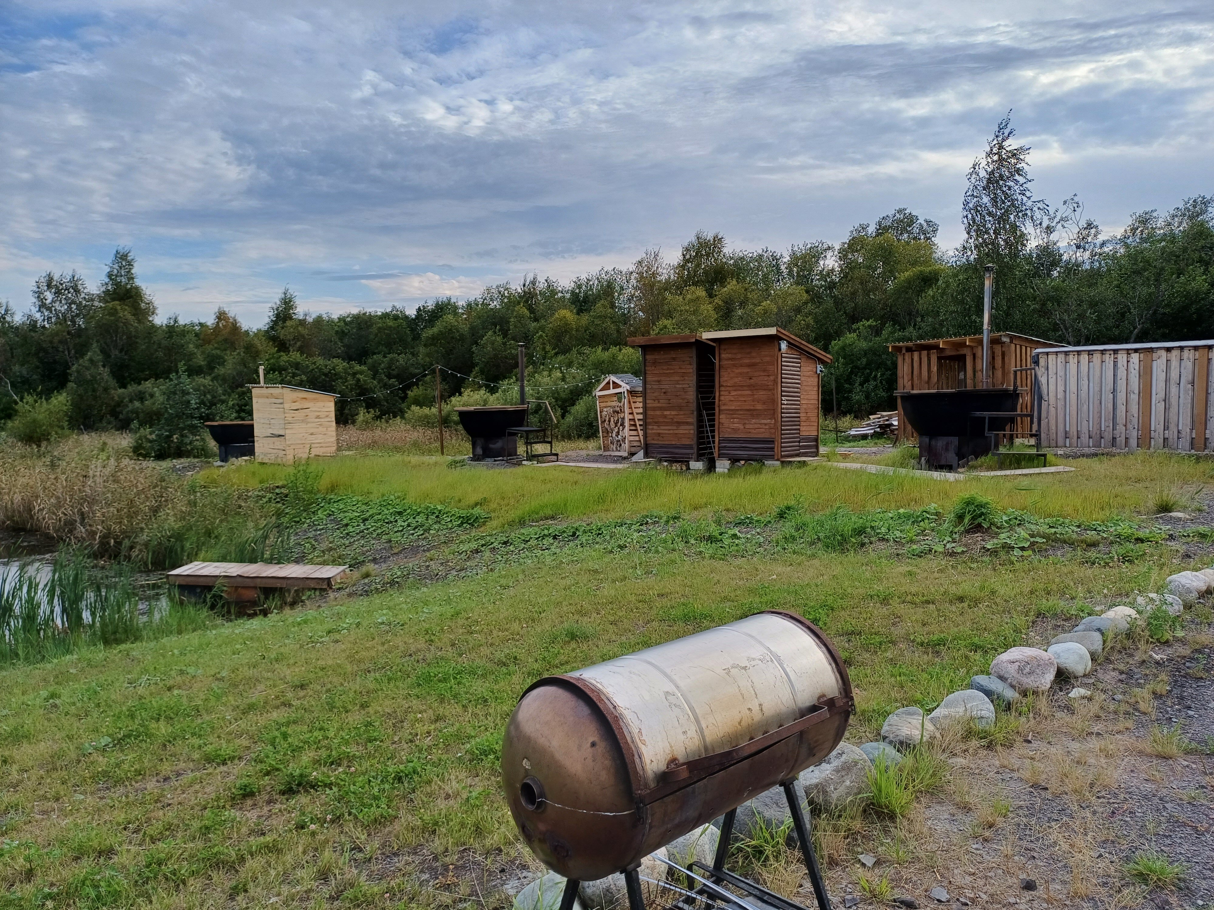 Фото Хитрый Лис