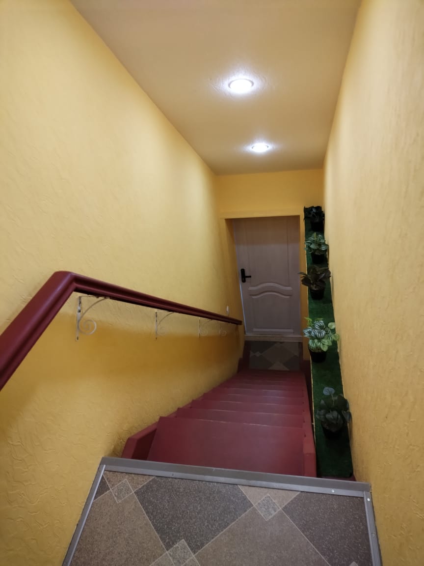 Фото Сенполия