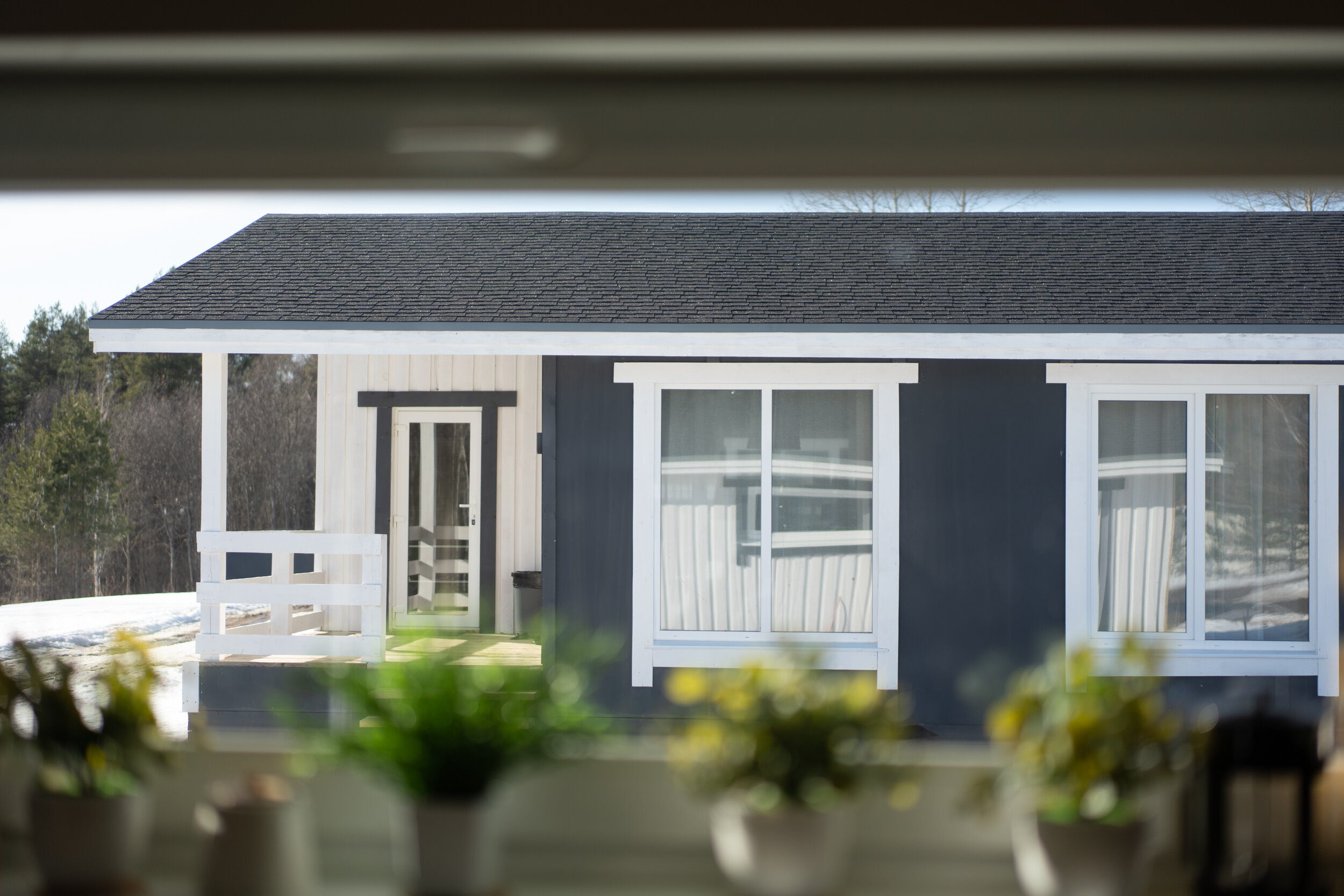 Фото Forest Hills