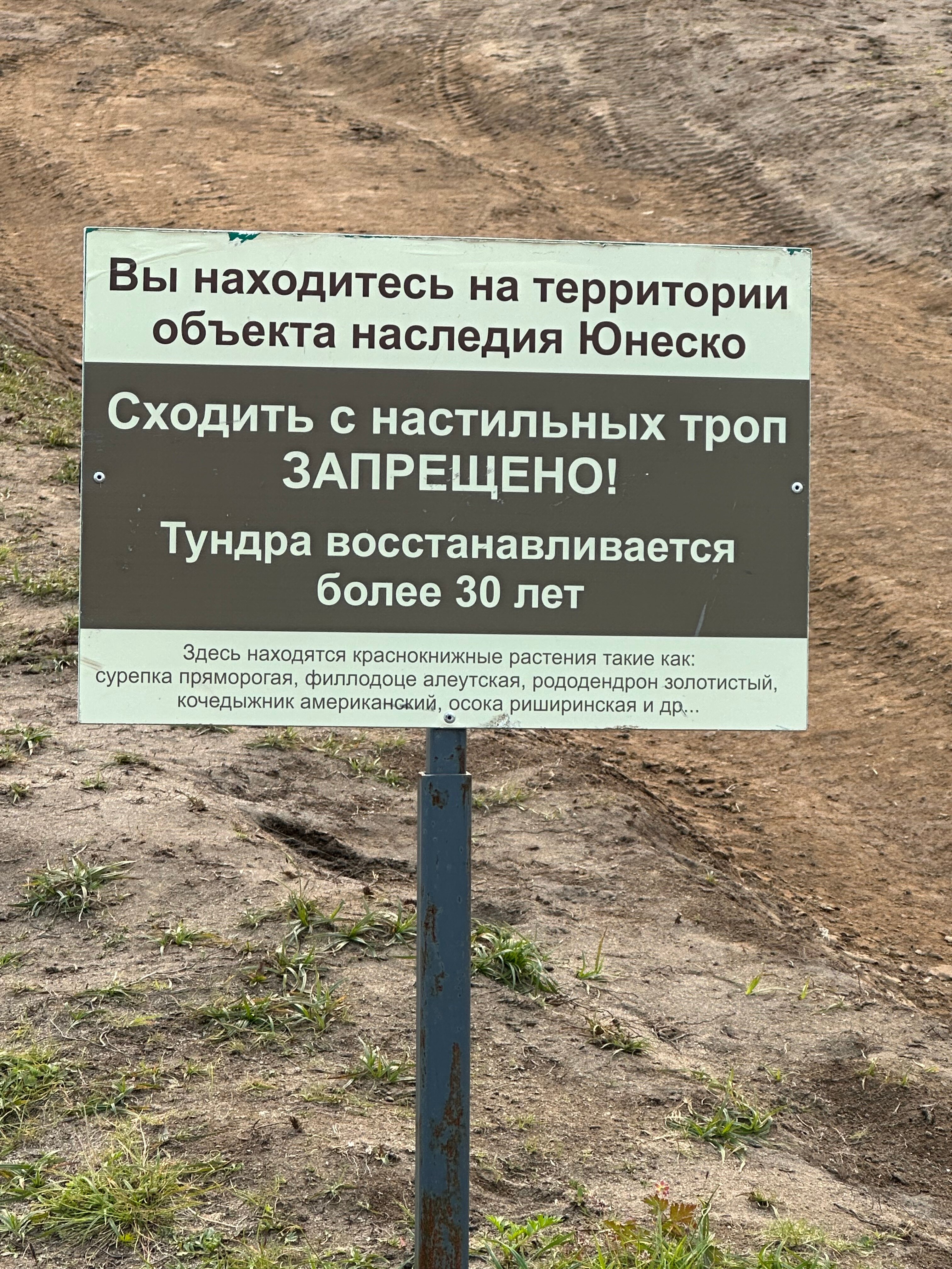 Фото Вилючик Кэмп