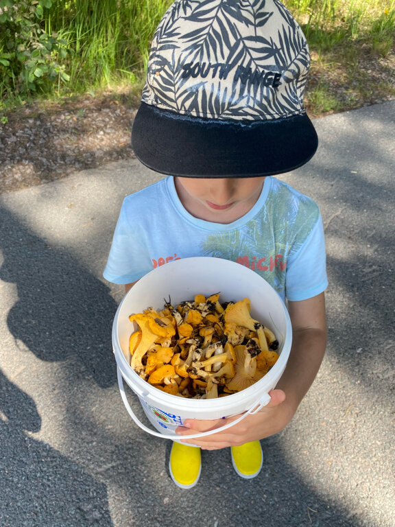 Фото Пухтолова Гора