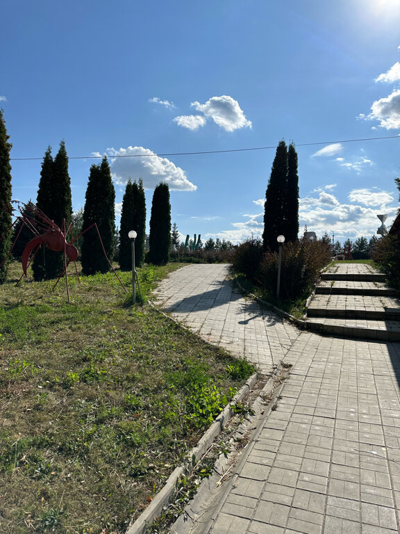 Фото Арт Пенза