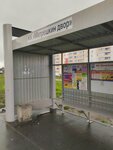 Жилой комплекс Матрёшкин двор (Novosibirsk, Kirovskiy City Administrative District, Yuzhno-Chemskoy zhilmassiv) ، توقف وسائل النقل العام