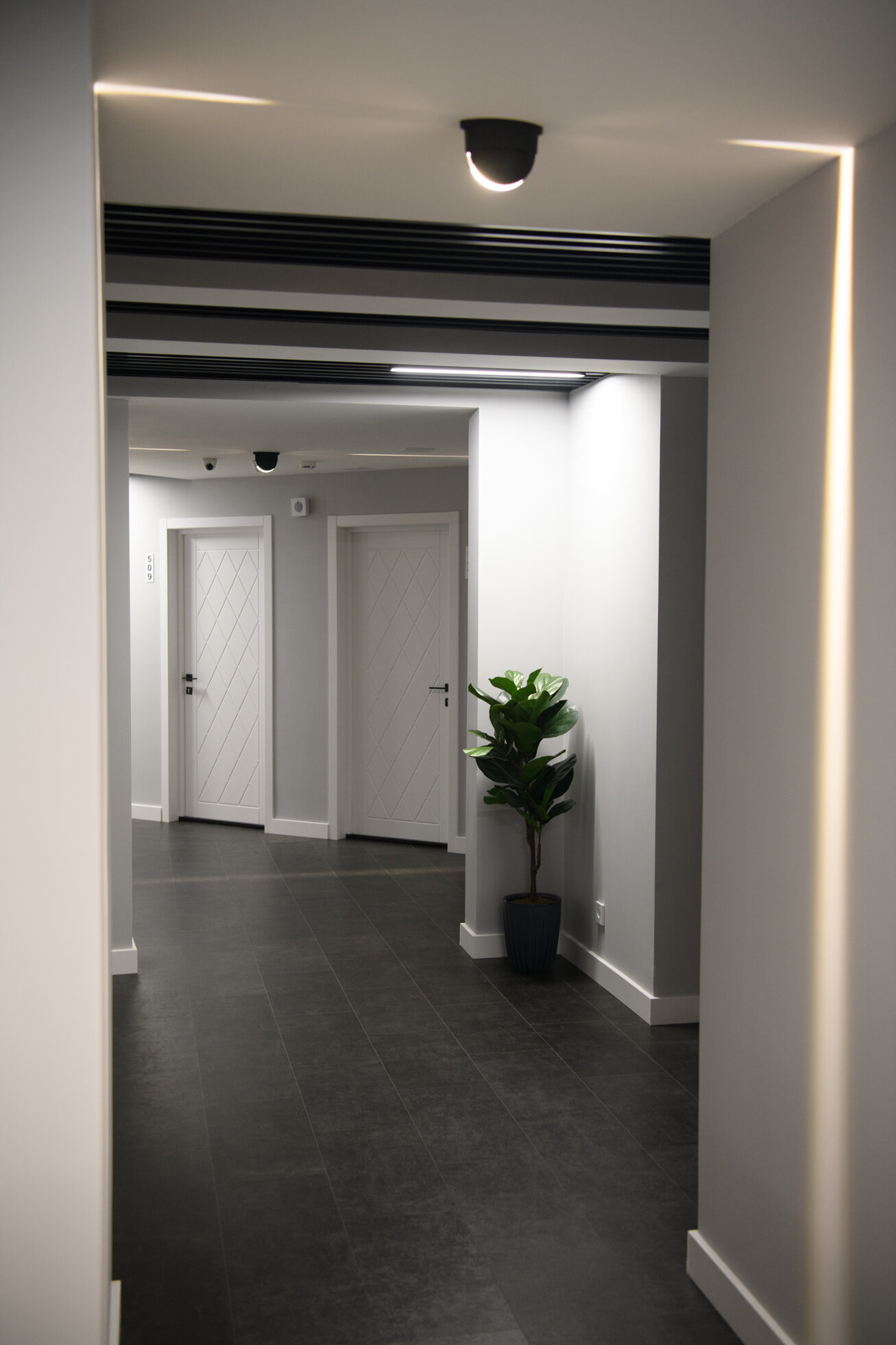 Фото Демократ на Краснопутиловской 111