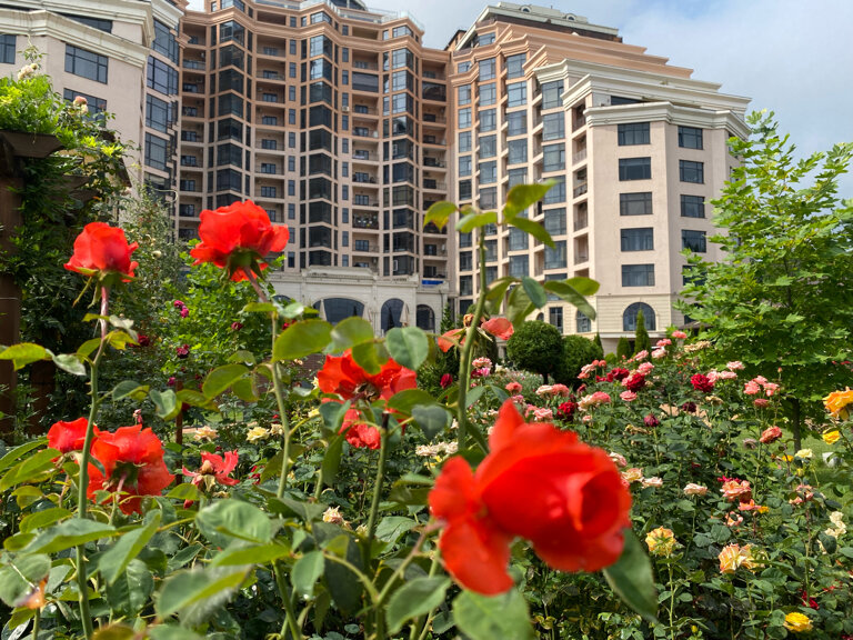 Фото Green Resort