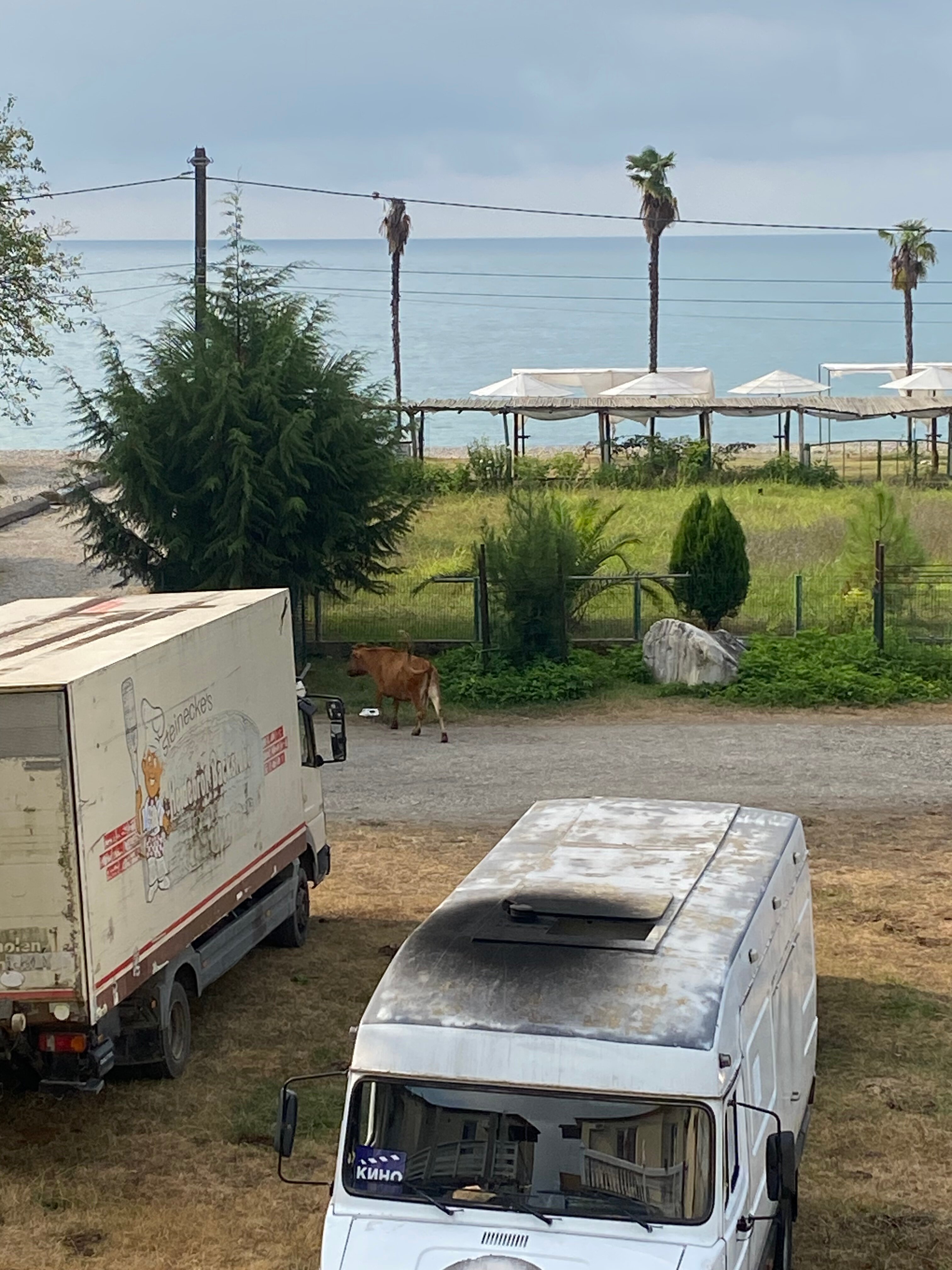 Фото Дени Дельмар