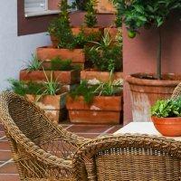 Фото Apartamentos Murillo