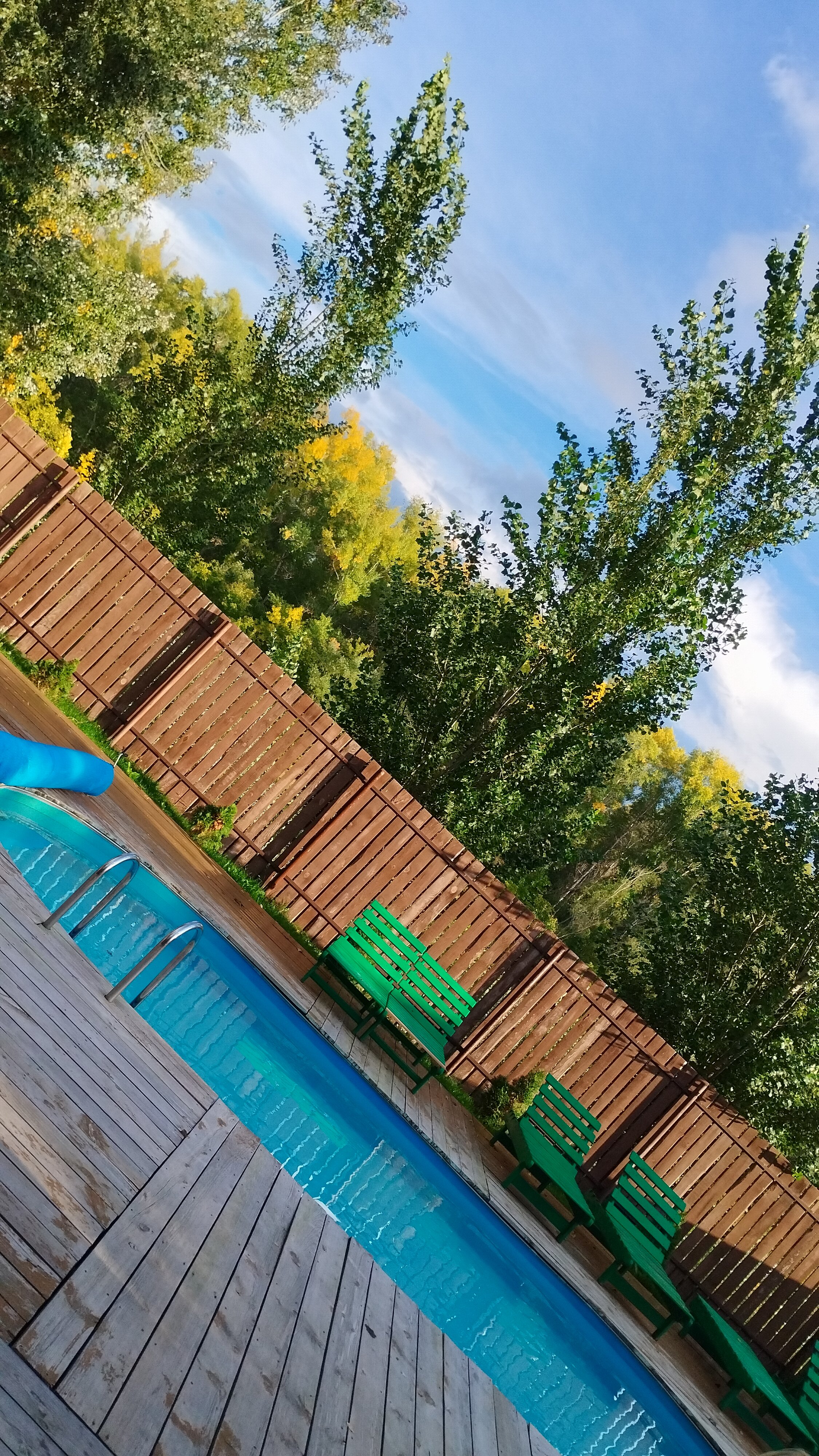 Фото Нежинка