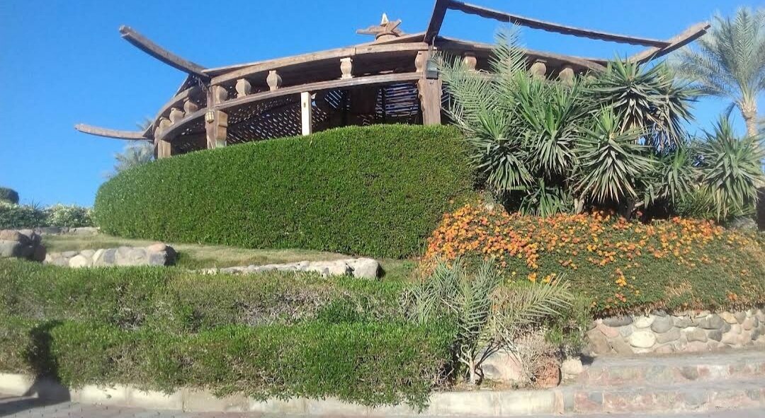 Фото Куин Шарм Резорт Вью