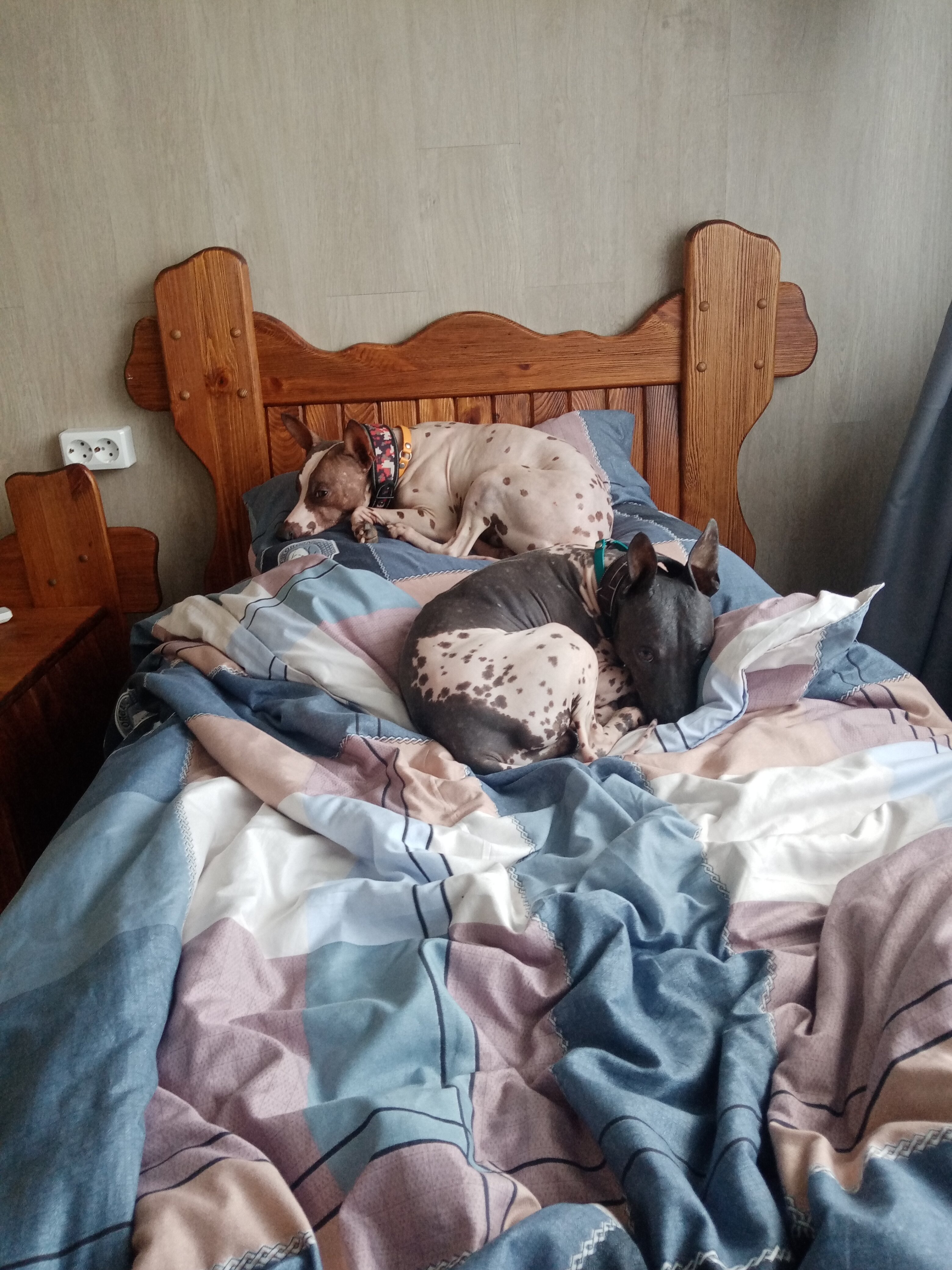 Фото Эммаусский дворик